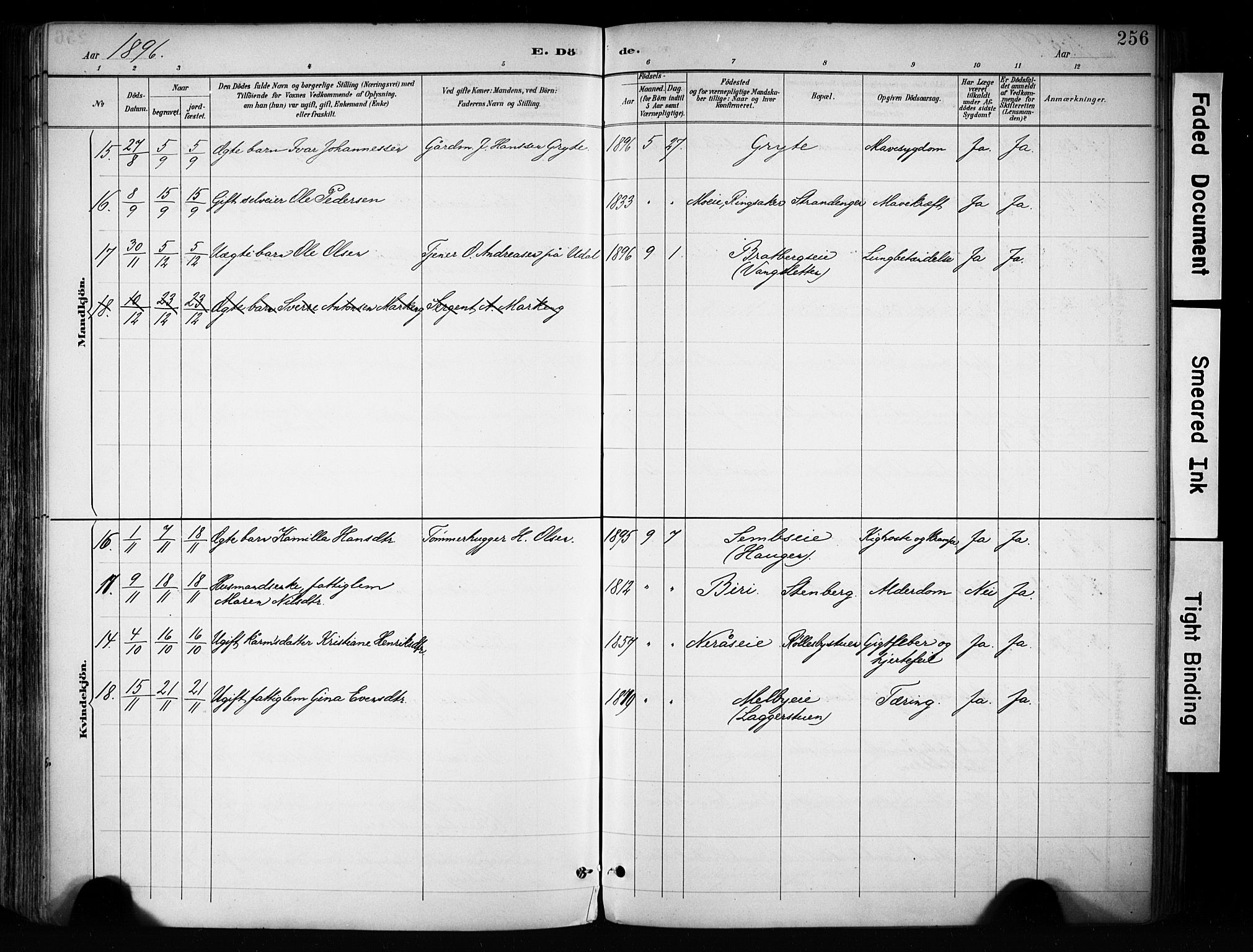 Biri prestekontor, AV/SAH-PREST-096/H/Ha/Haa/L0009: Parish register (official) no. 9, 1887-1900, p. 256