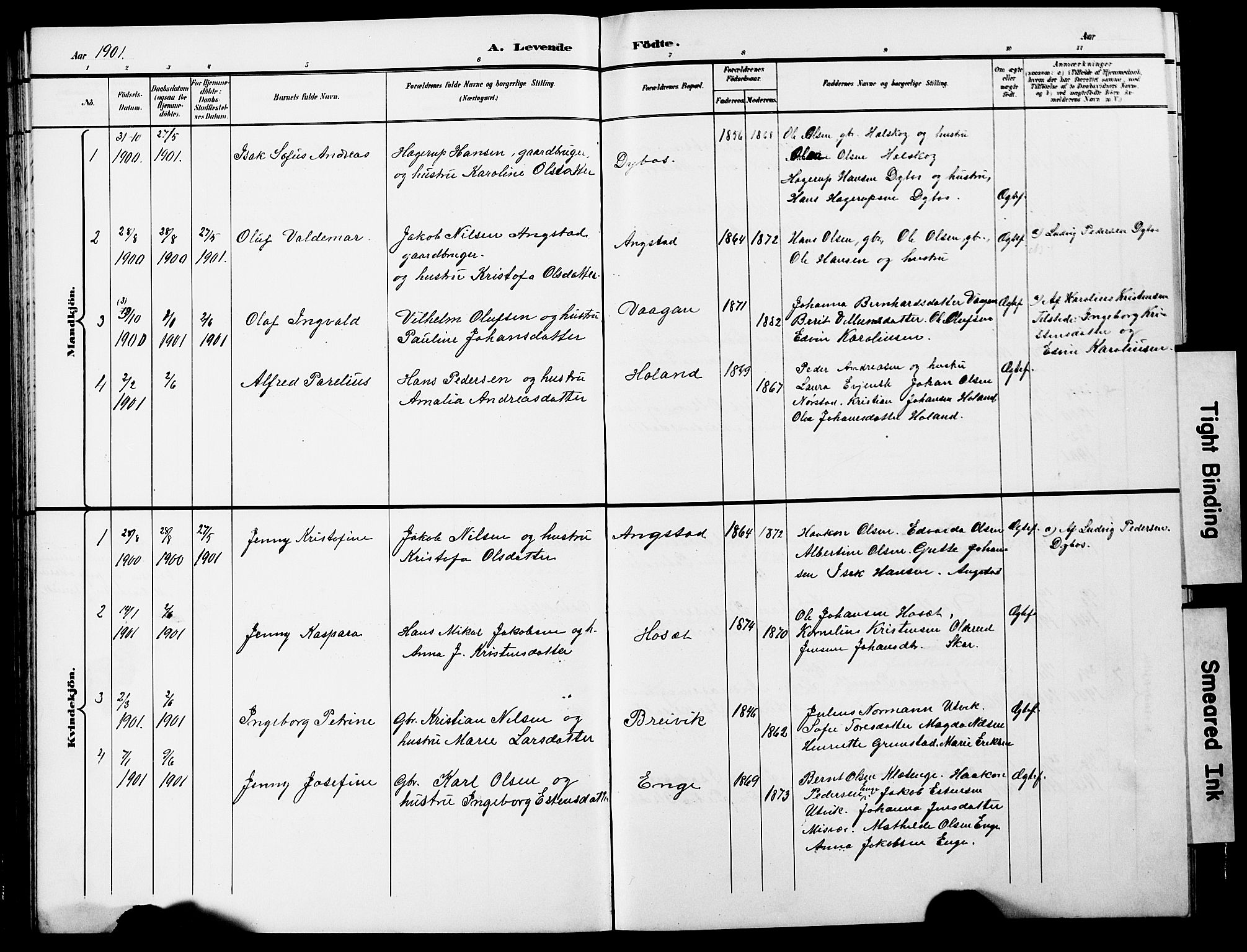 Ministerialprotokoller, klokkerbøker og fødselsregistre - Nordland, SAT/A-1459/852/L0755: Parish register (copy) no. 852C06, 1895-1902