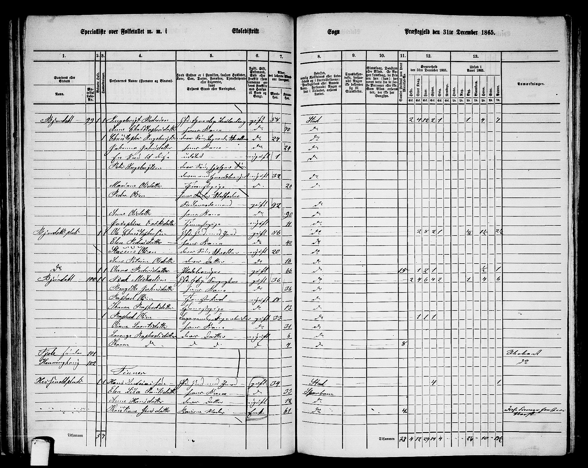 RA, 1865 census for Stod, 1865, p. 67