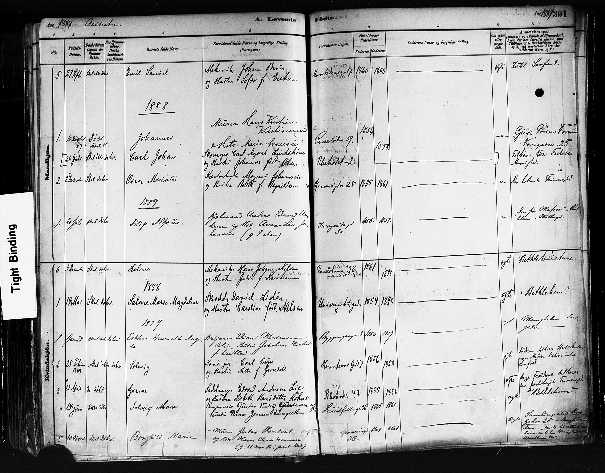 Trefoldighet prestekontor Kirkebøker, AV/SAO-A-10882/F/Fa/L0005: Parish register (official) no. I 5, 1881-1891, p. 391