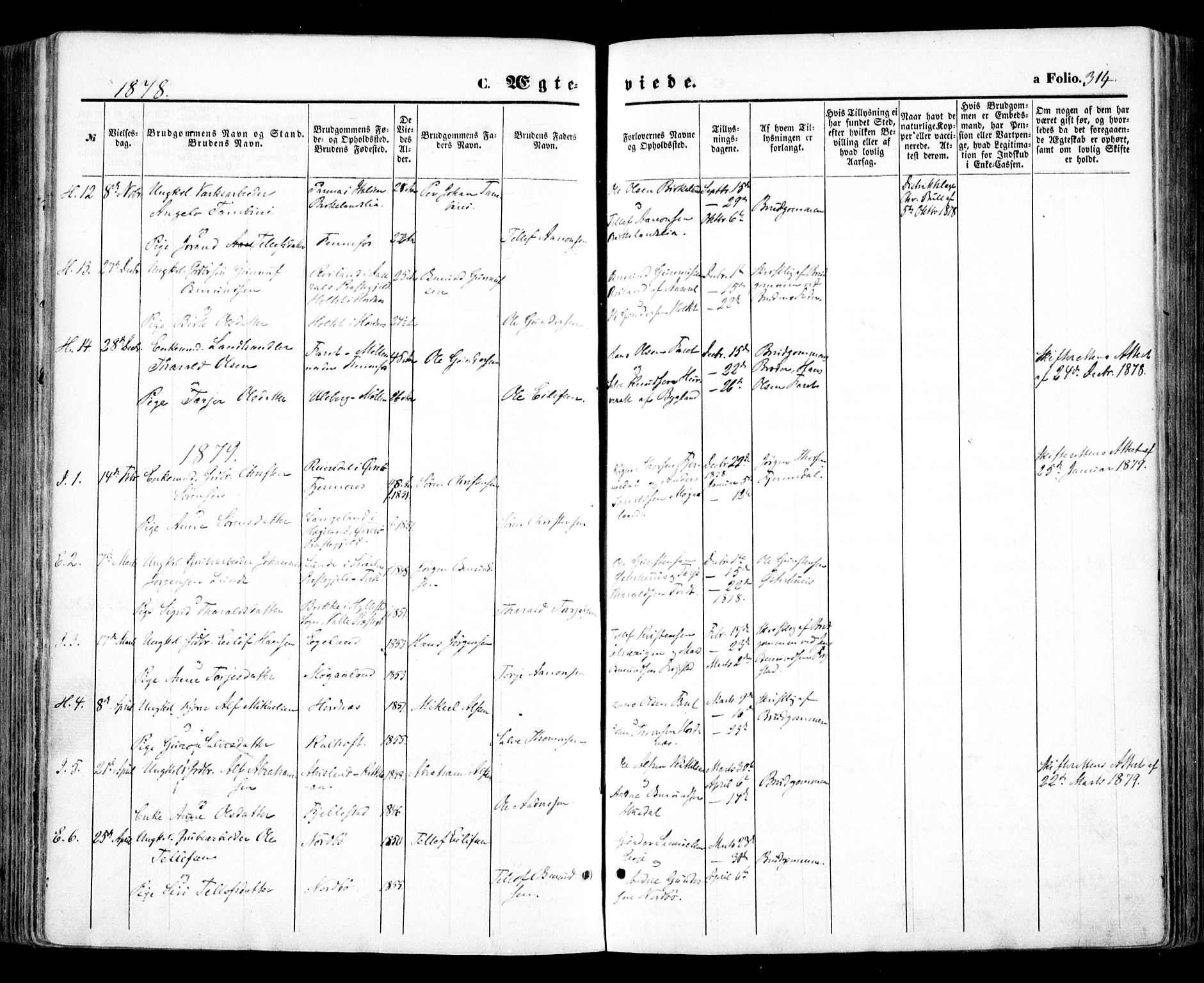 Evje sokneprestkontor, SAK/1111-0008/F/Fa/Faa/L0006: Parish register (official) no. A 6, 1866-1884, p. 314