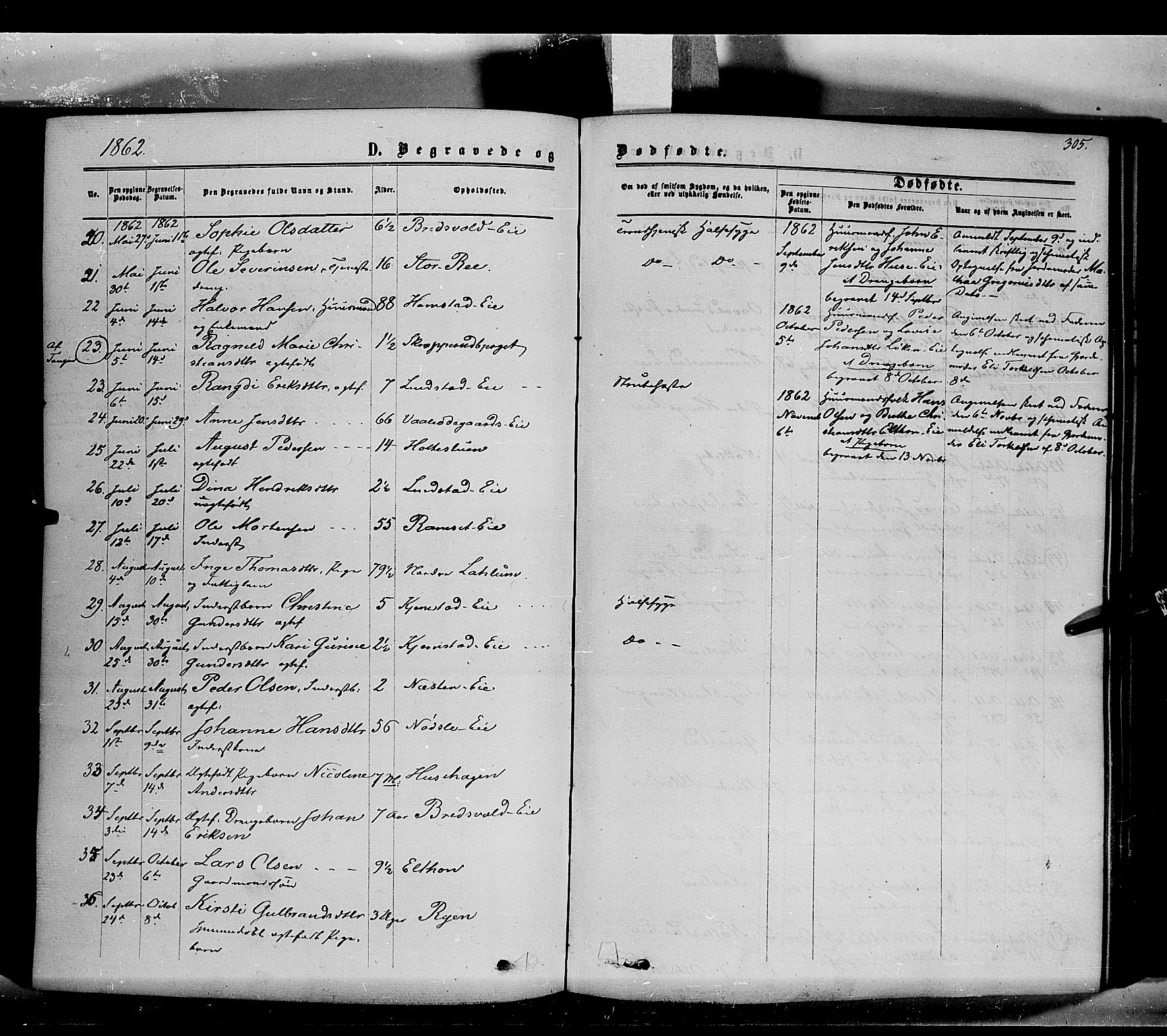 Stange prestekontor, SAH/PREST-002/K/L0013: Parish register (official) no. 13, 1862-1879, p. 305