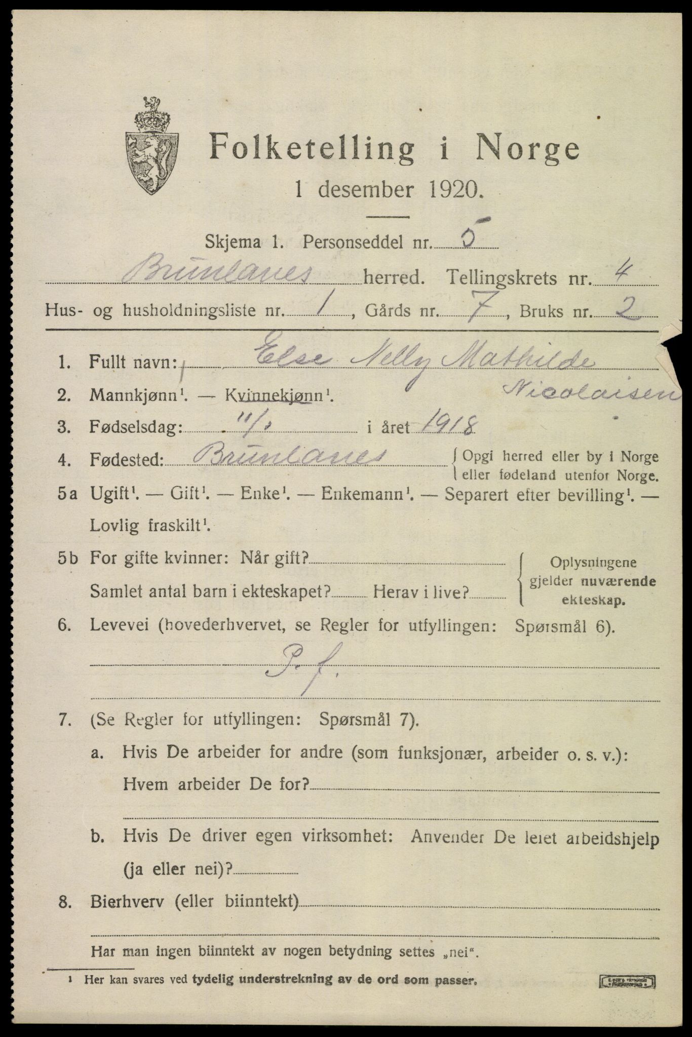 SAKO, 1920 census for Brunlanes, 1920, p. 6123