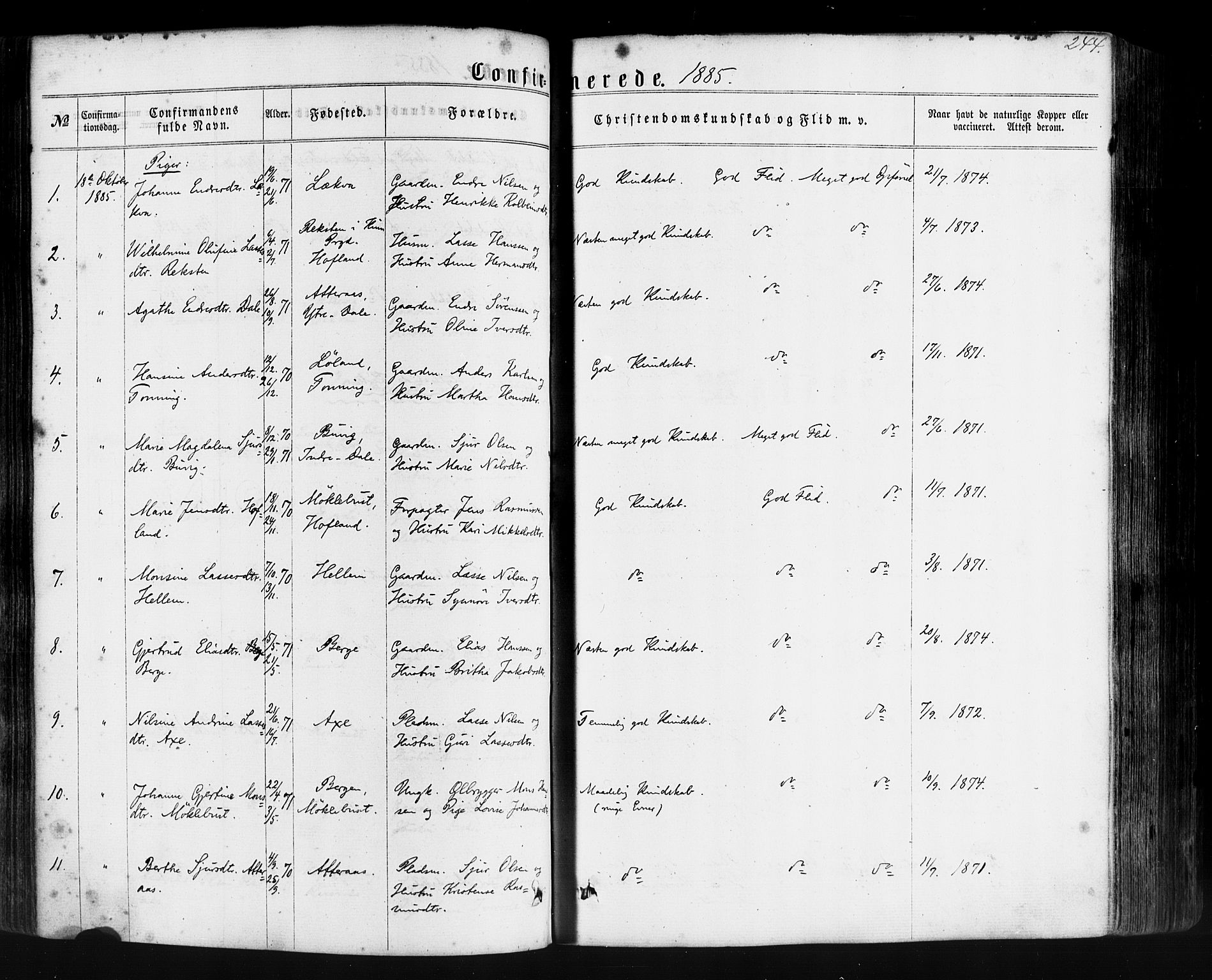Hyllestad sokneprestembete, SAB/A-80401: Parish register (official) no. A 1, 1861-1886, p. 244