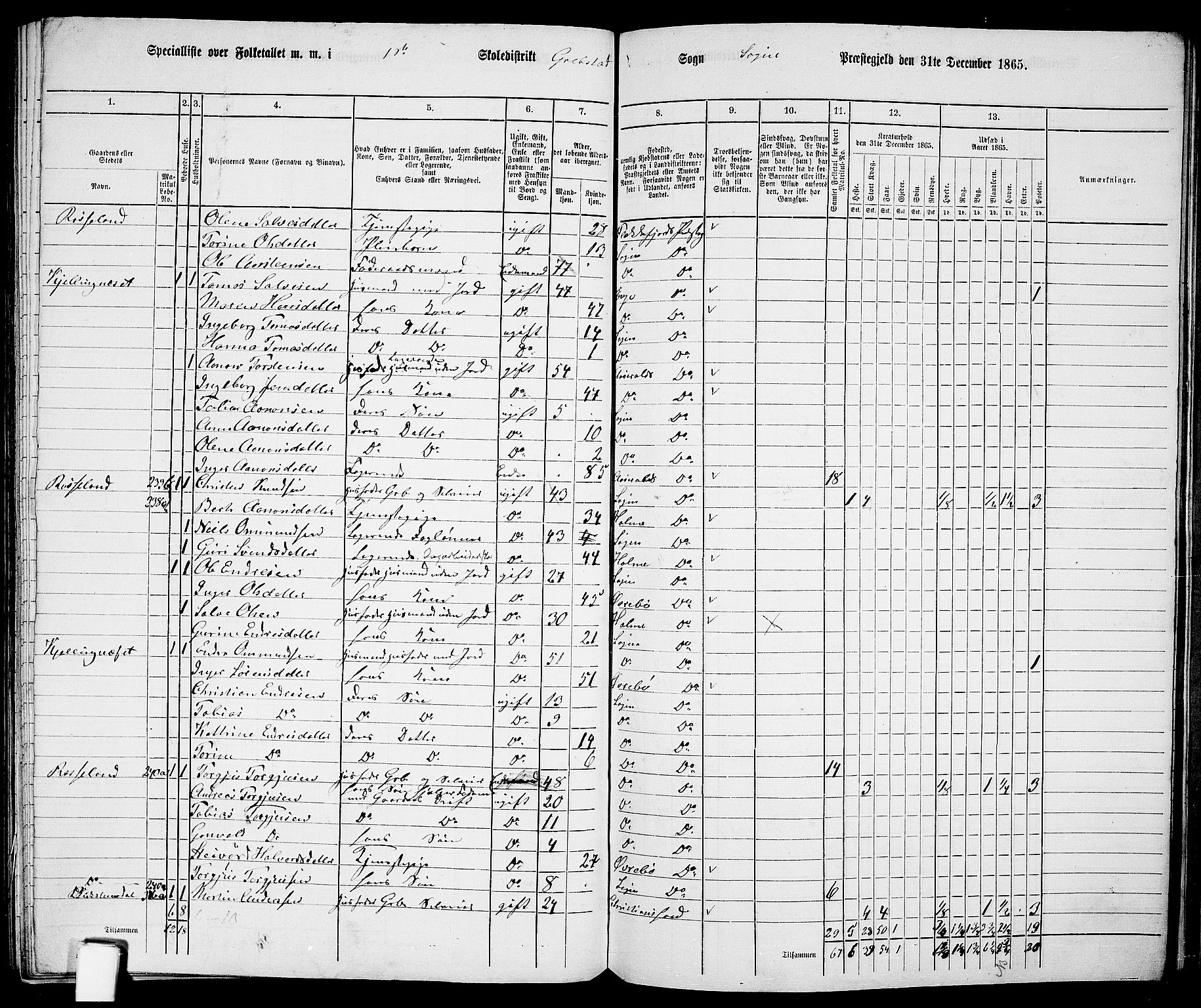 RA, 1865 census for Søgne, 1865, p. 126