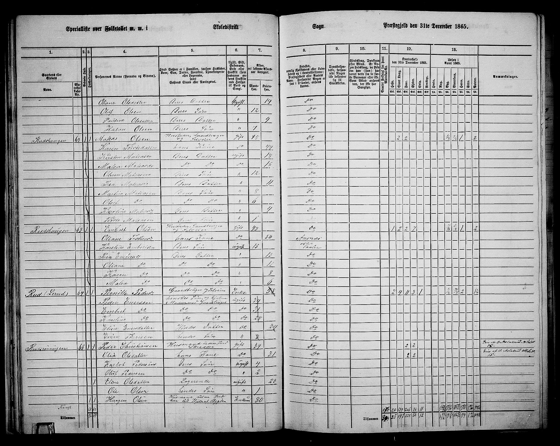 RA, 1865 census for Våler, 1865, p. 35