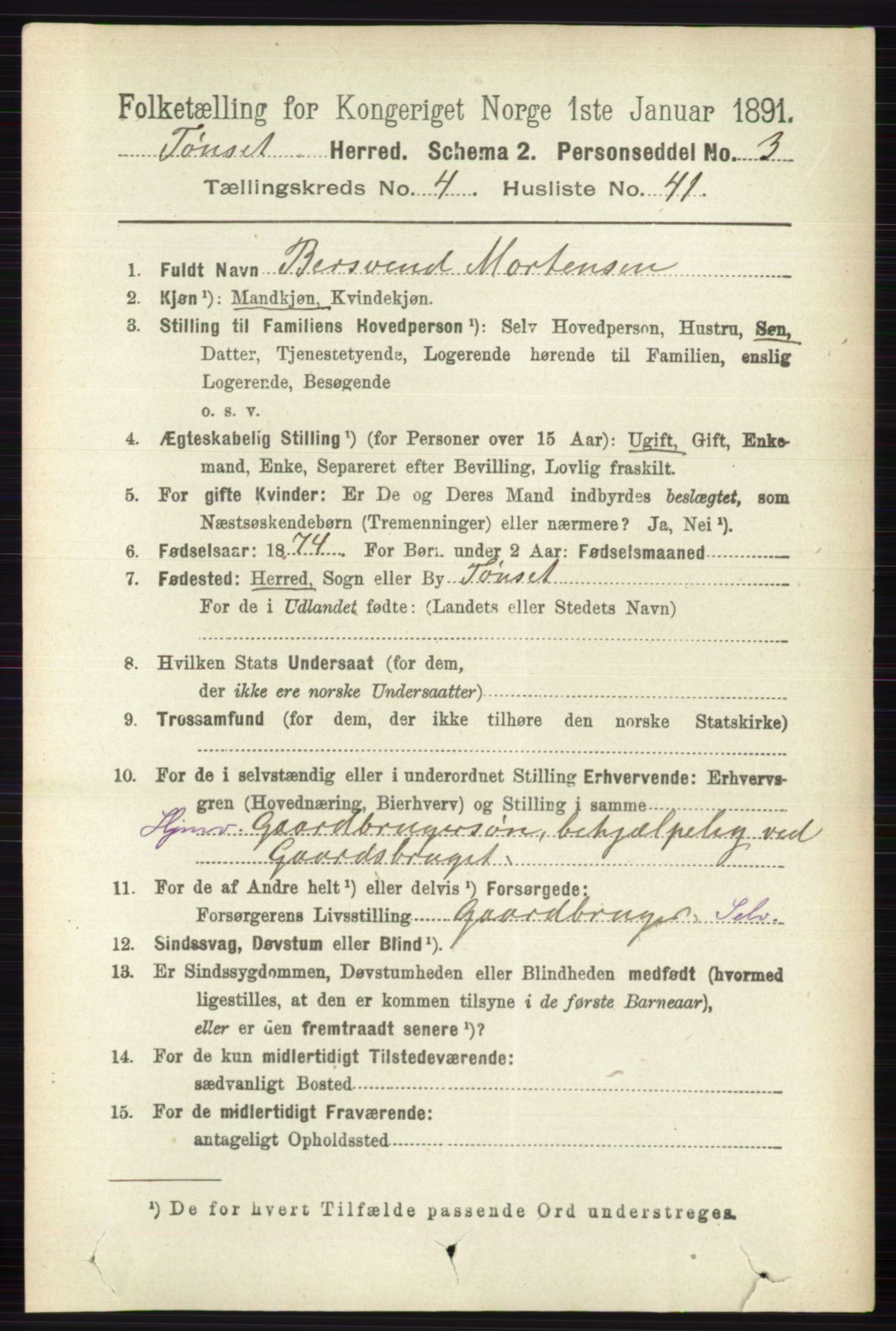 RA, 1891 census for 0437 Tynset, 1891, p. 1010