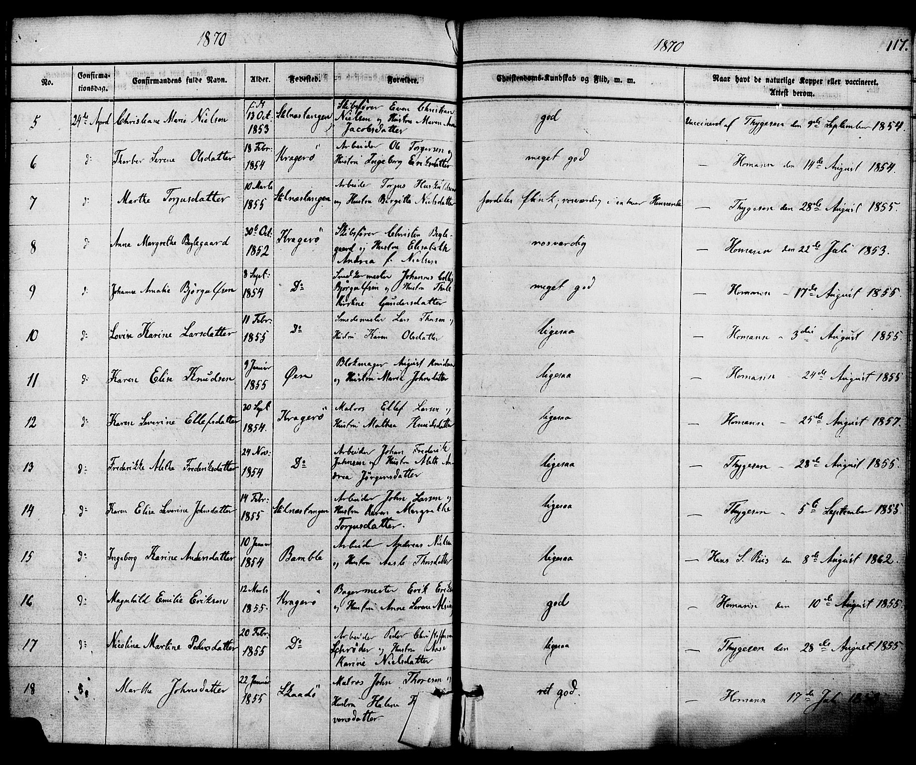 Kragerø kirkebøker, SAKO/A-278/F/Fa/L0008: Parish register (official) no. 8, 1856-1880, p. 117