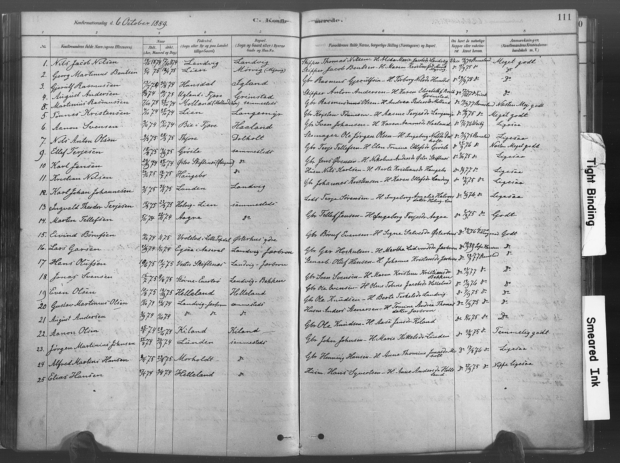 Hommedal sokneprestkontor, SAK/1111-0023/F/Fa/Fab/L0006: Parish register (official) no. A 6, 1878-1897, p. 111