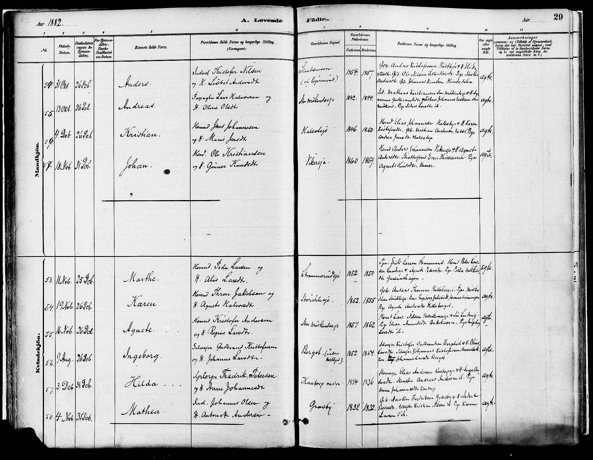 Vang prestekontor, Hedmark, AV/SAH-PREST-008/H/Ha/Haa/L0018A: Parish register (official) no. 18A, 1880-1906, p. 29