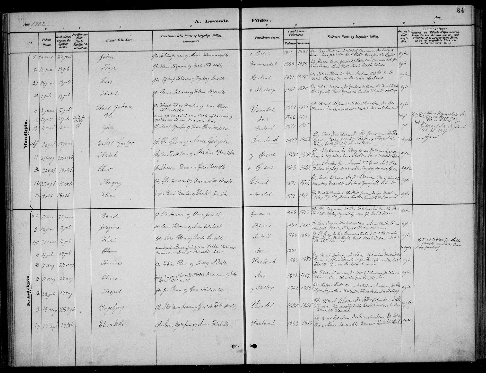 Bjelland sokneprestkontor, SAK/1111-0005/F/Fb/Fbc/L0003: Parish register (copy) no. B 3, 1887-1924, p. 34