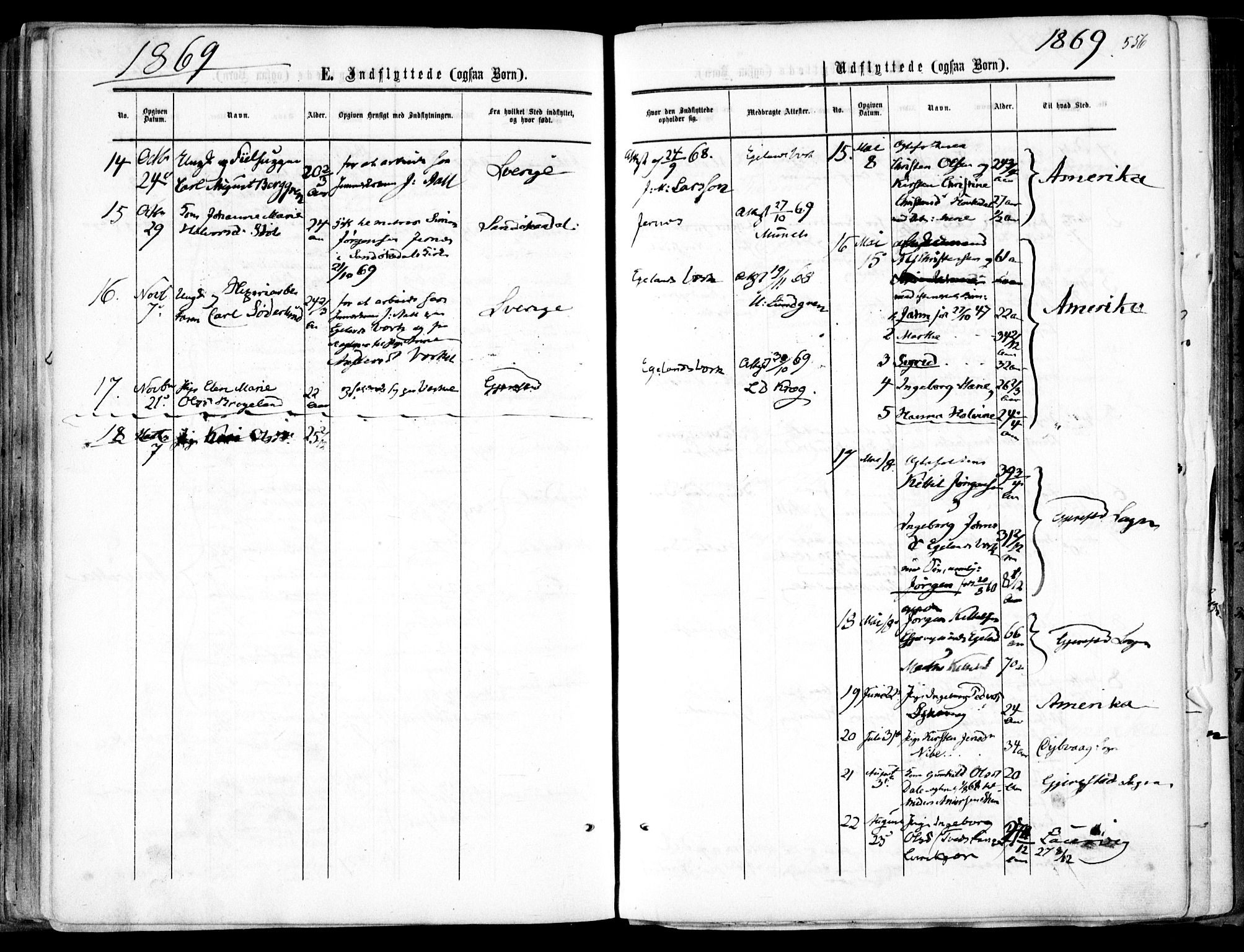 Søndeled sokneprestkontor, AV/SAK-1111-0038/F/Fa/L0003: Parish register (official) no. A 3, 1861-1879, p. 556