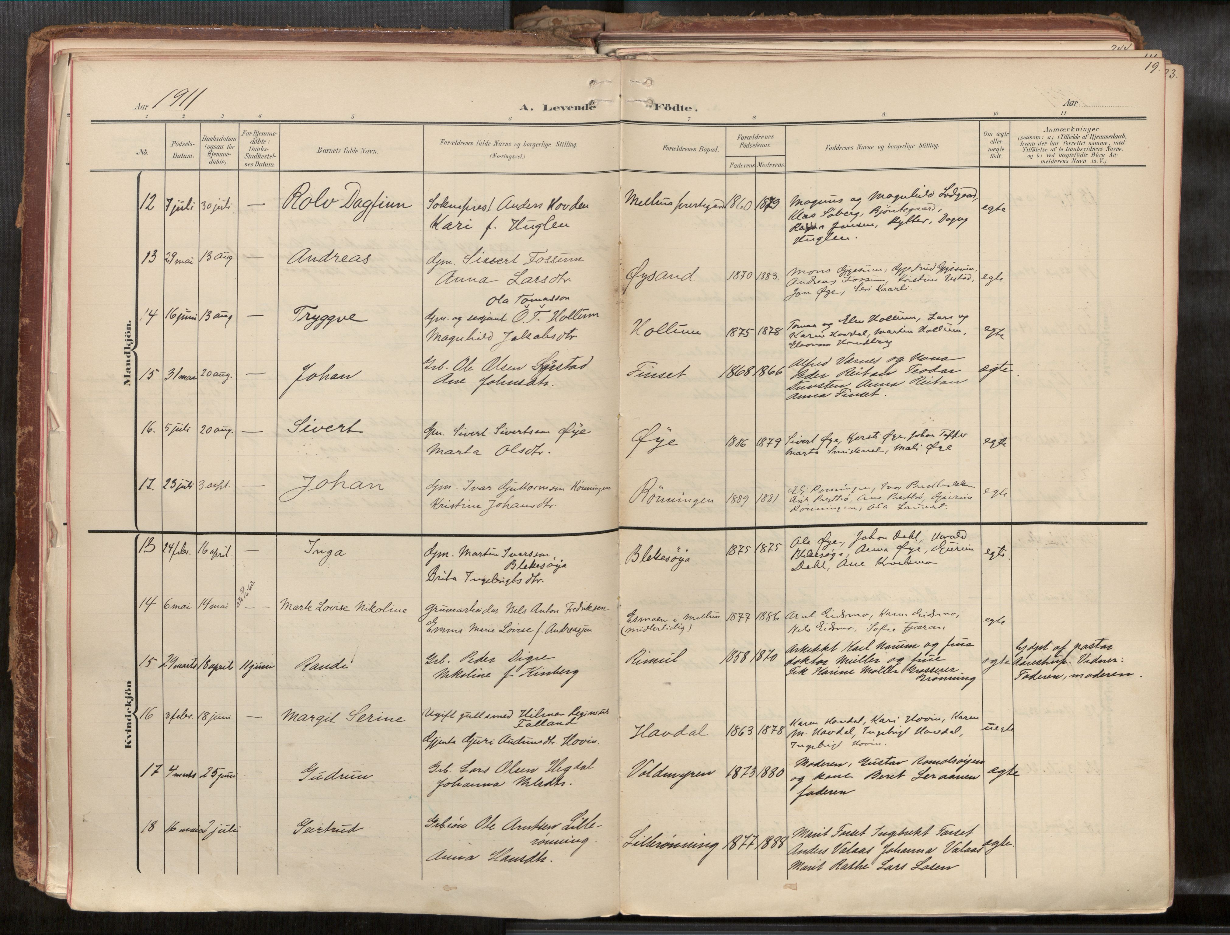 Ministerialprotokoller, klokkerbøker og fødselsregistre - Sør-Trøndelag, SAT/A-1456/691/L1085b: Parish register (official) no. 691A18, 1908-1930, p. 19
