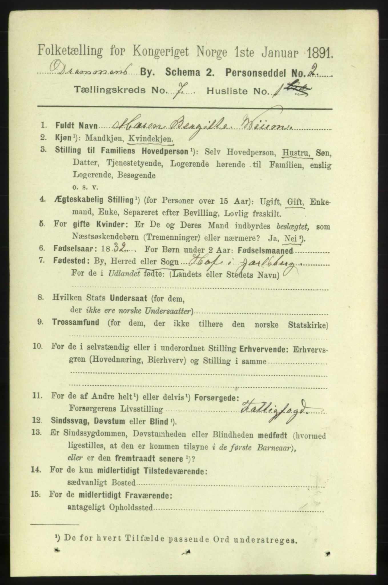 RA, 1891 census for 0602 Drammen, 1891, p. 6353