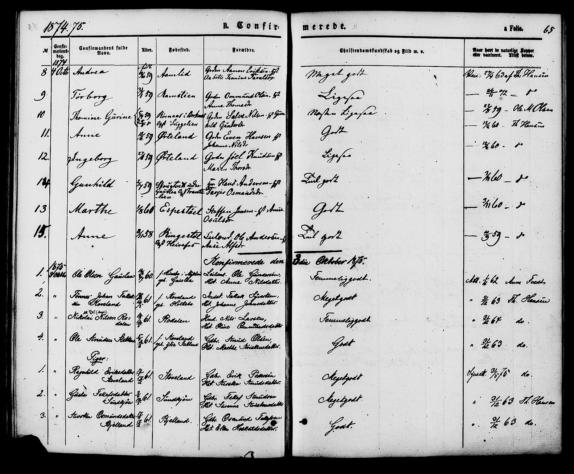 Herefoss sokneprestkontor, AV/SAK-1111-0019/F/Fa/Faa/L0002: Parish register (official) no. A 2, 1861-1886, p. 65