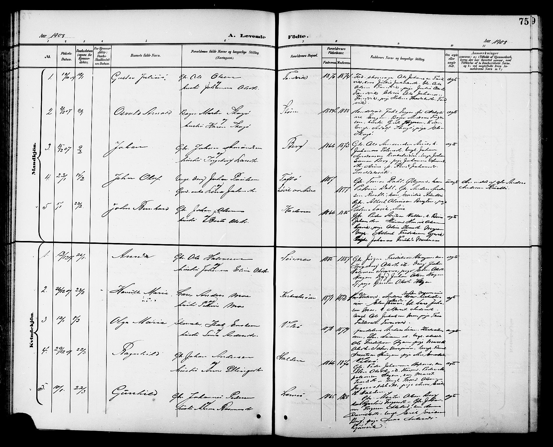 Ministerialprotokoller, klokkerbøker og fødselsregistre - Sør-Trøndelag, SAT/A-1456/630/L0505: Parish register (copy) no. 630C03, 1899-1914, p. 75
