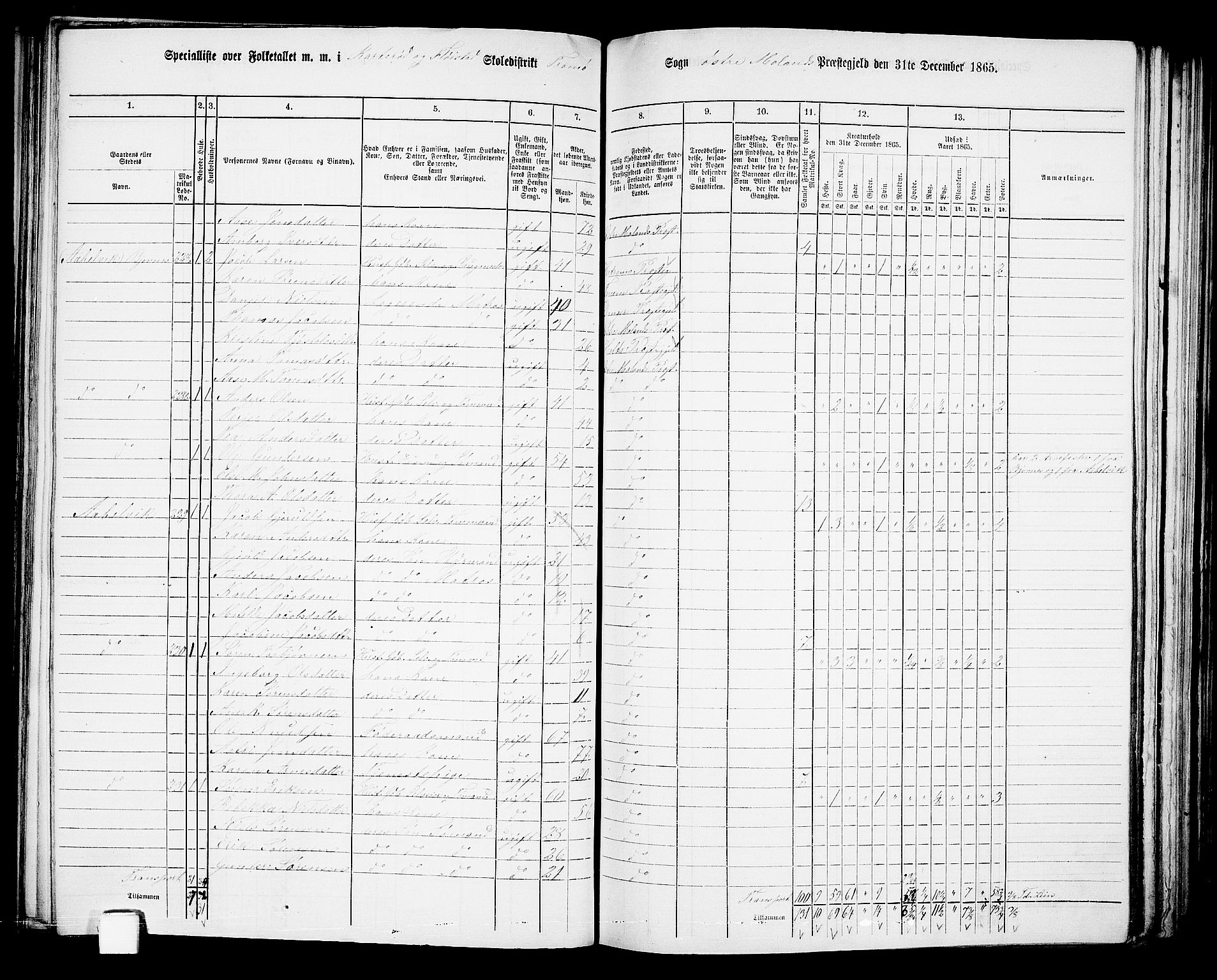 RA, 1865 census for Austre Moland, 1865, p. 148