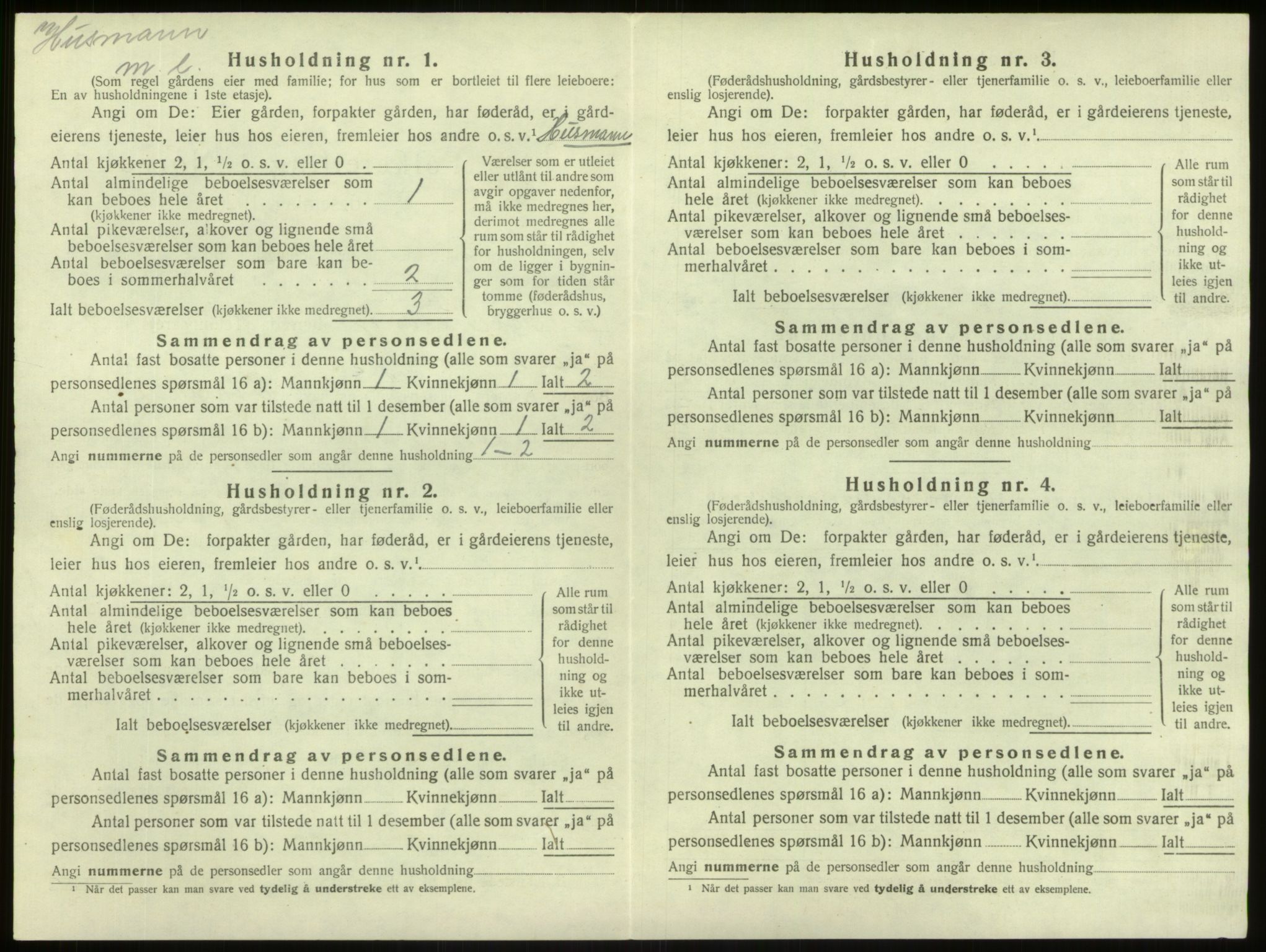 SAB, 1920 census for Lærdal, 1920, p. 786