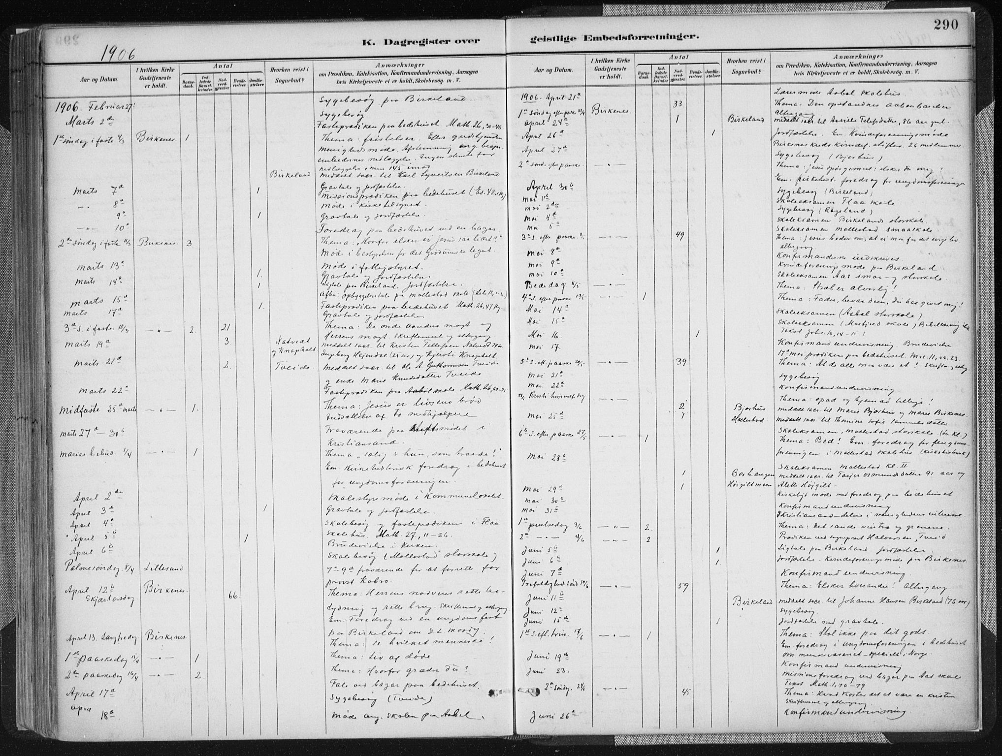 Birkenes sokneprestkontor, SAK/1111-0004/F/Fa/L0005: Parish register (official) no. A 5, 1887-1907, p. 290