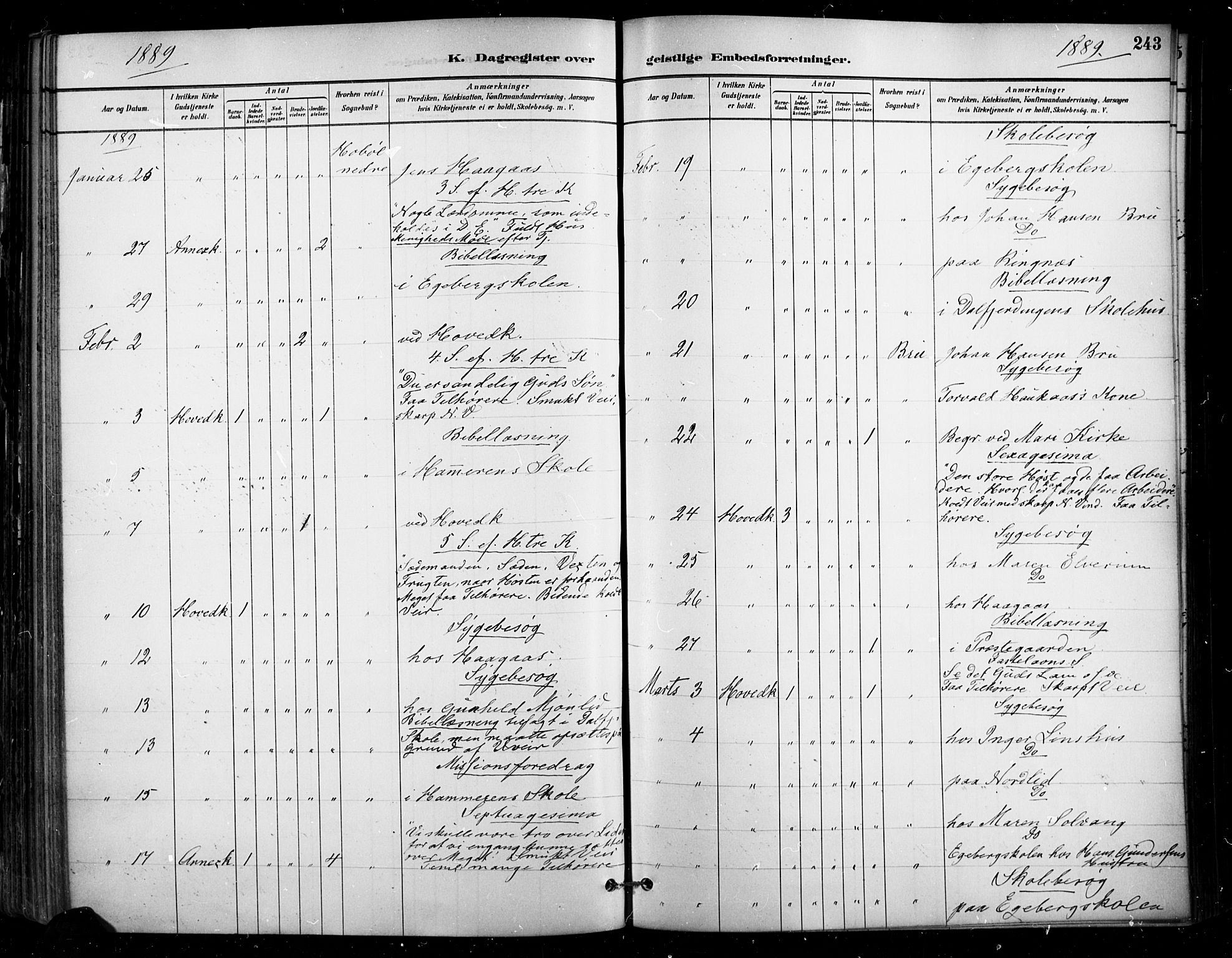 Enebakk prestekontor Kirkebøker, SAO/A-10171c/F/Fa/L0016: Parish register (official) no. I 16, 1883-1898, p. 243