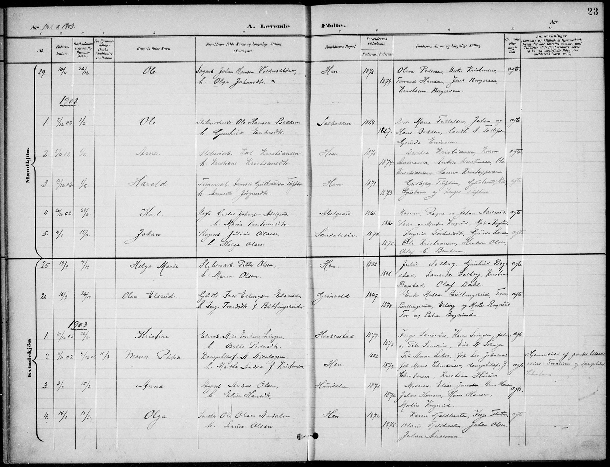 Ådal kirkebøker, AV/SAKO-A-248/F/Fb/L0002: Parish register (official) no. II 2, 1898-1917, p. 24