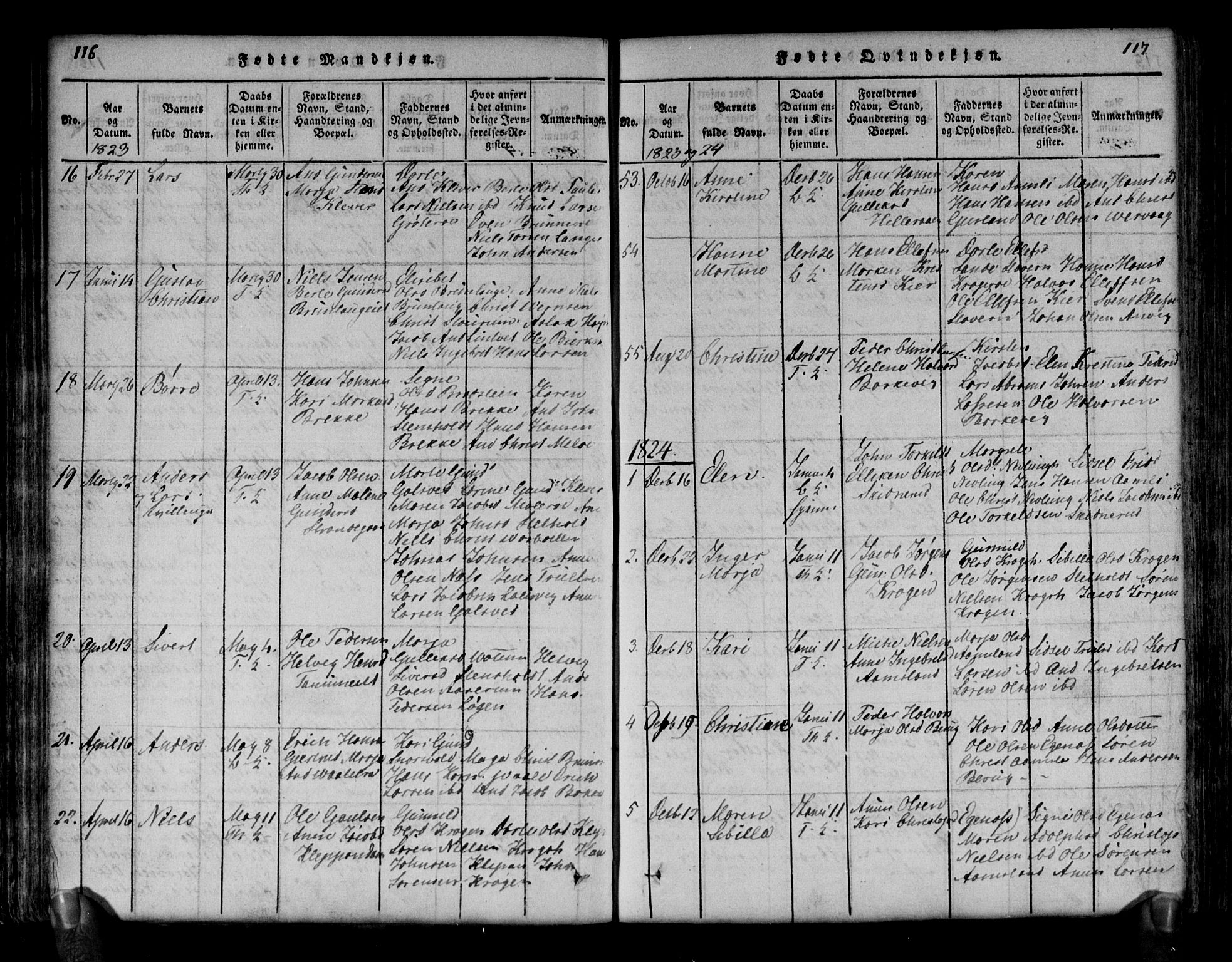 Brunlanes kirkebøker, AV/SAKO-A-342/G/Ga/L0001: Parish register (copy) no. I 1, 1814-1834, p. 116-117