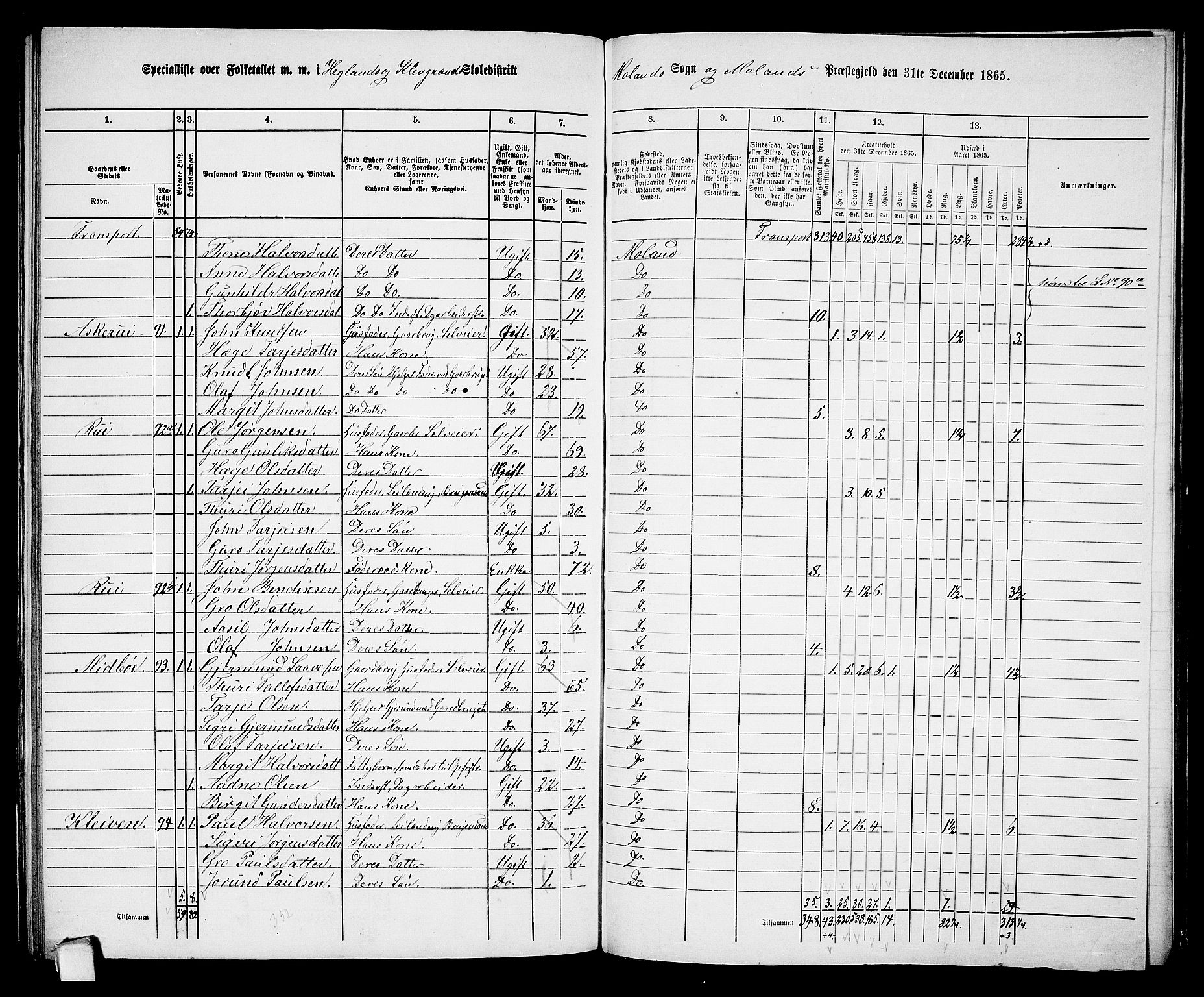 RA, 1865 census for Moland, 1865, p. 70