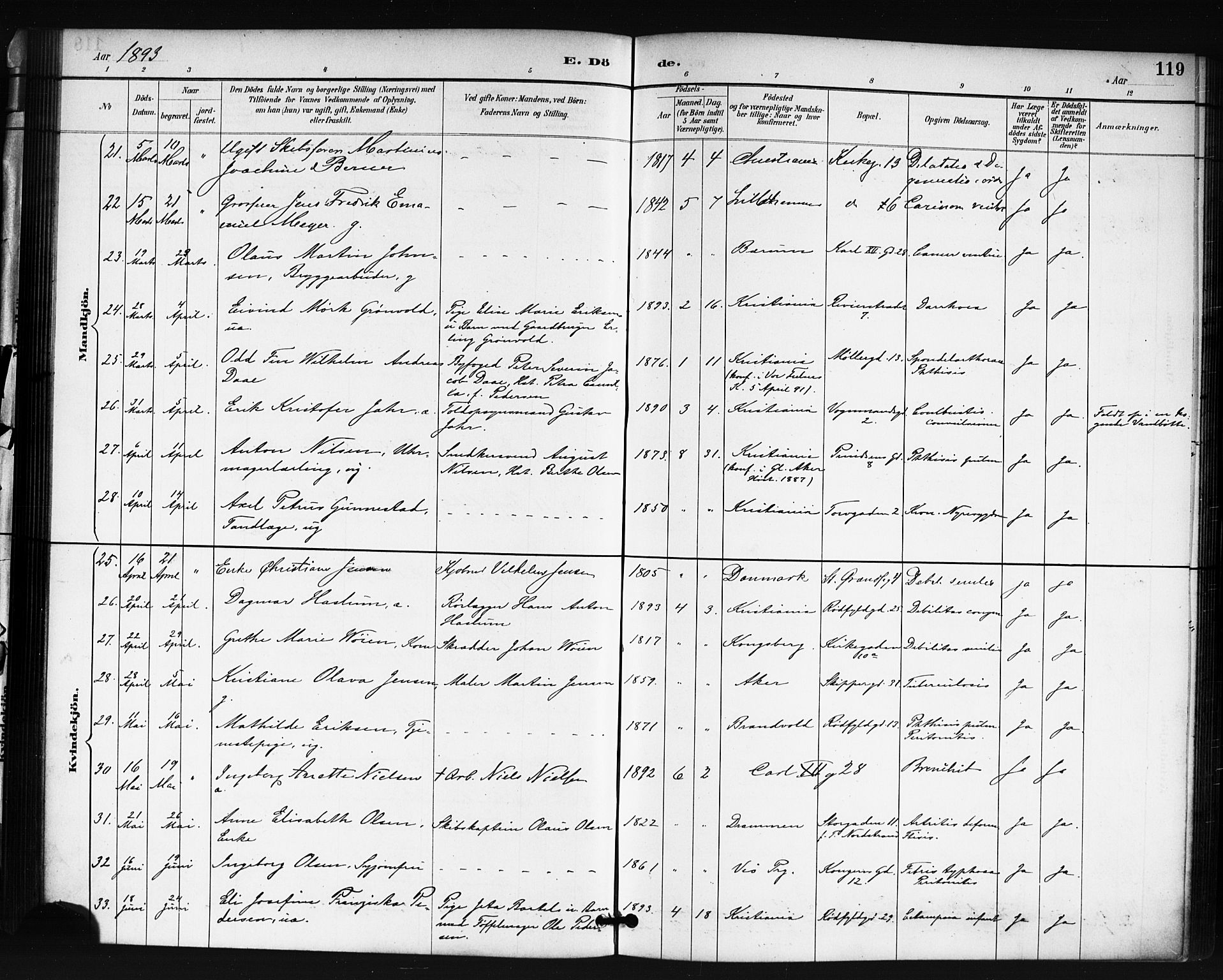 Oslo domkirke Kirkebøker, SAO/A-10752/F/Fa/L0035: Parish register (official) no. 35, 1885-1901, p. 119