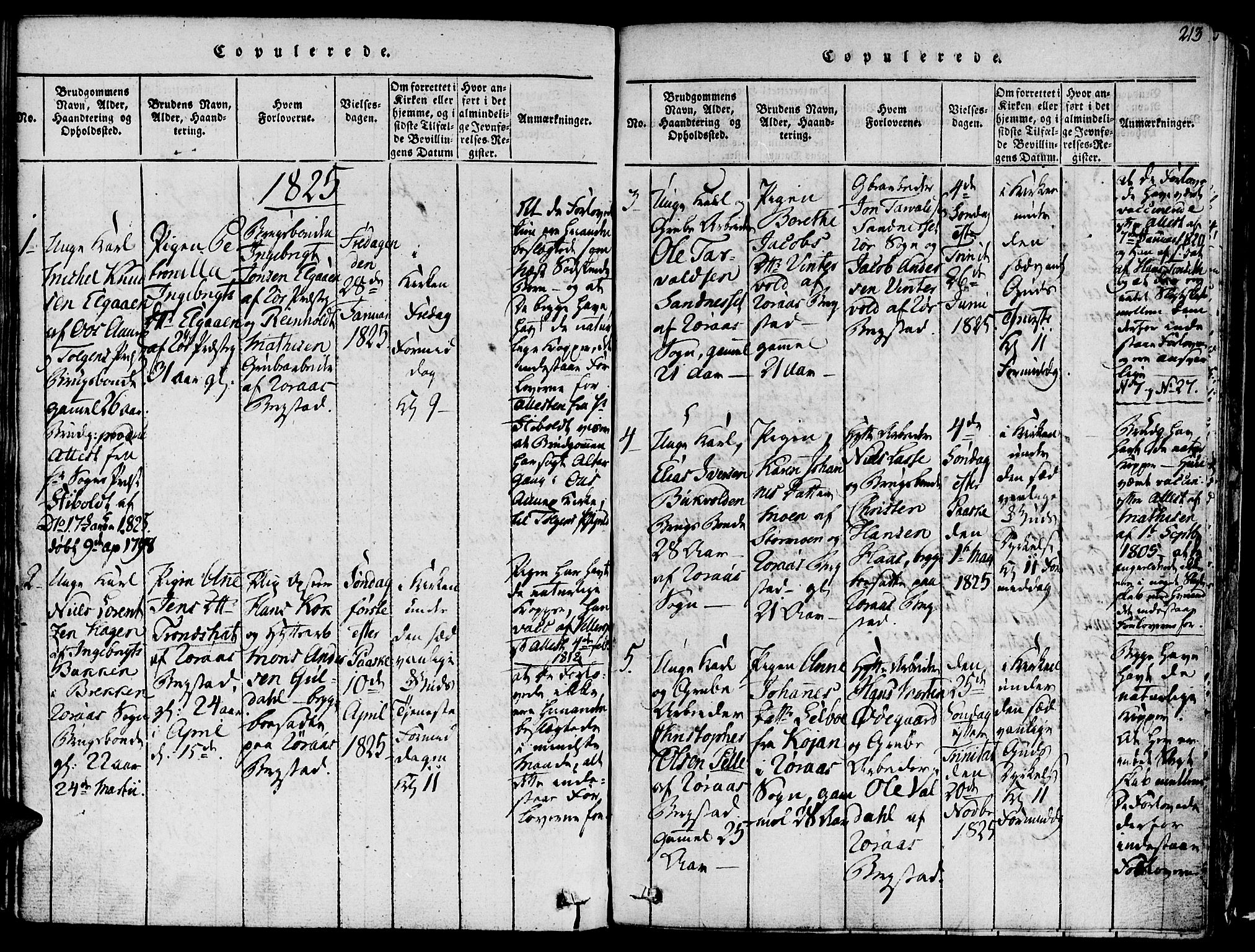 Ministerialprotokoller, klokkerbøker og fødselsregistre - Sør-Trøndelag, SAT/A-1456/681/L0929: Parish register (official) no. 681A07, 1817-1828, p. 213