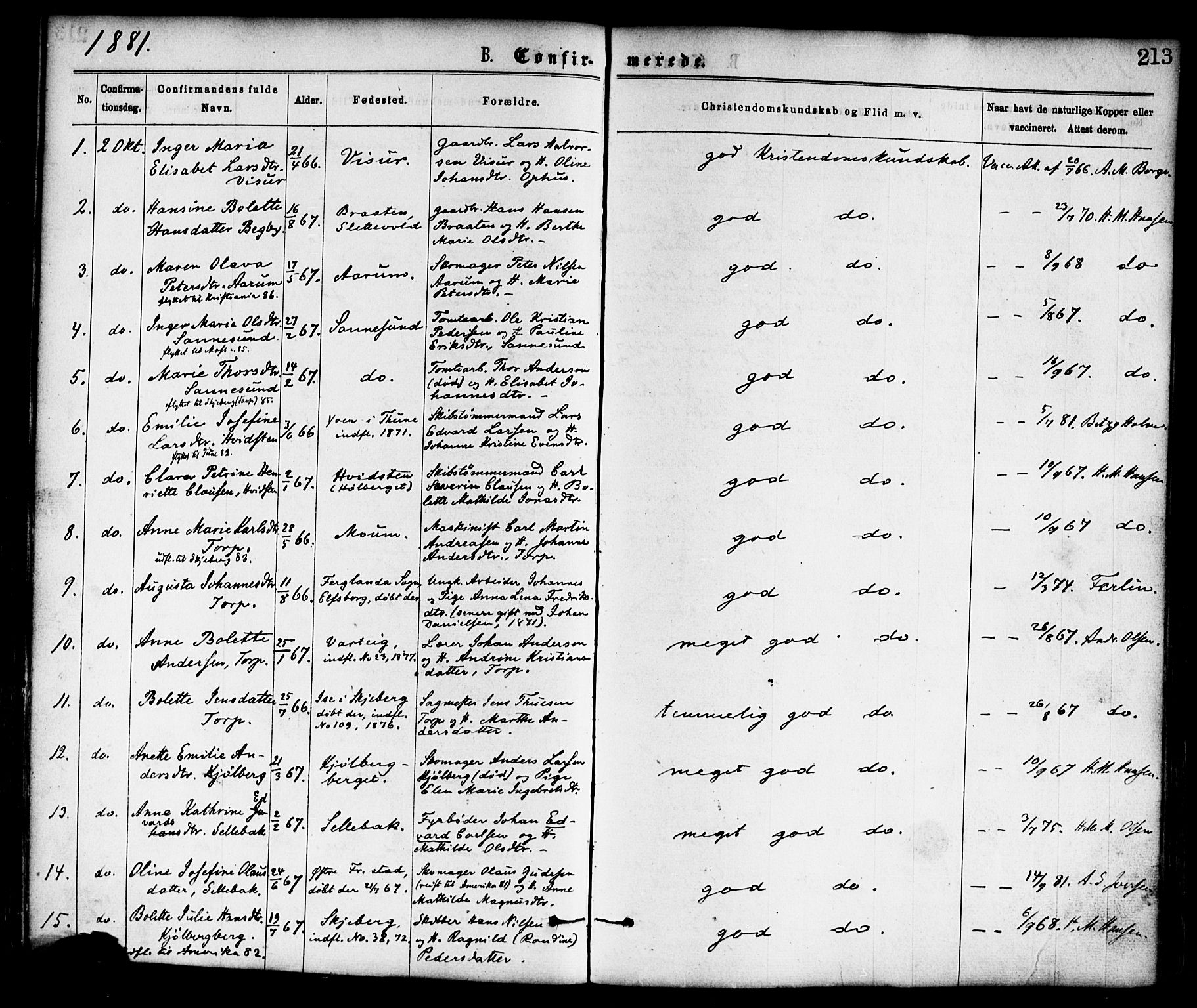 Borge prestekontor Kirkebøker, AV/SAO-A-10903/F/Fa/L0007: Parish register (official) no. I 7, 1875-1886, p. 213