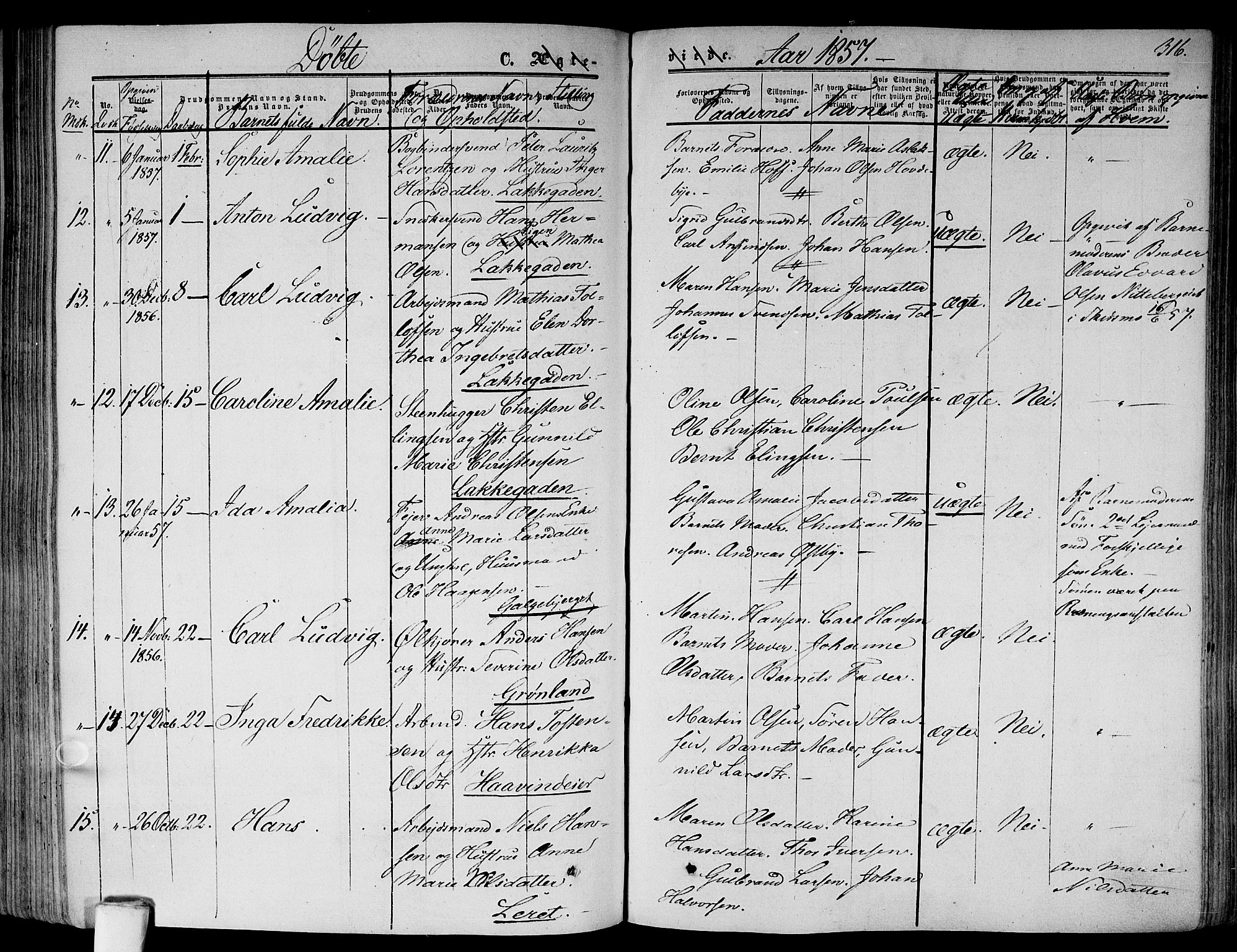 Gamlebyen prestekontor Kirkebøker, AV/SAO-A-10884/F/Fa/L0004: Parish register (official) no. 4, 1850-1857, p. 316