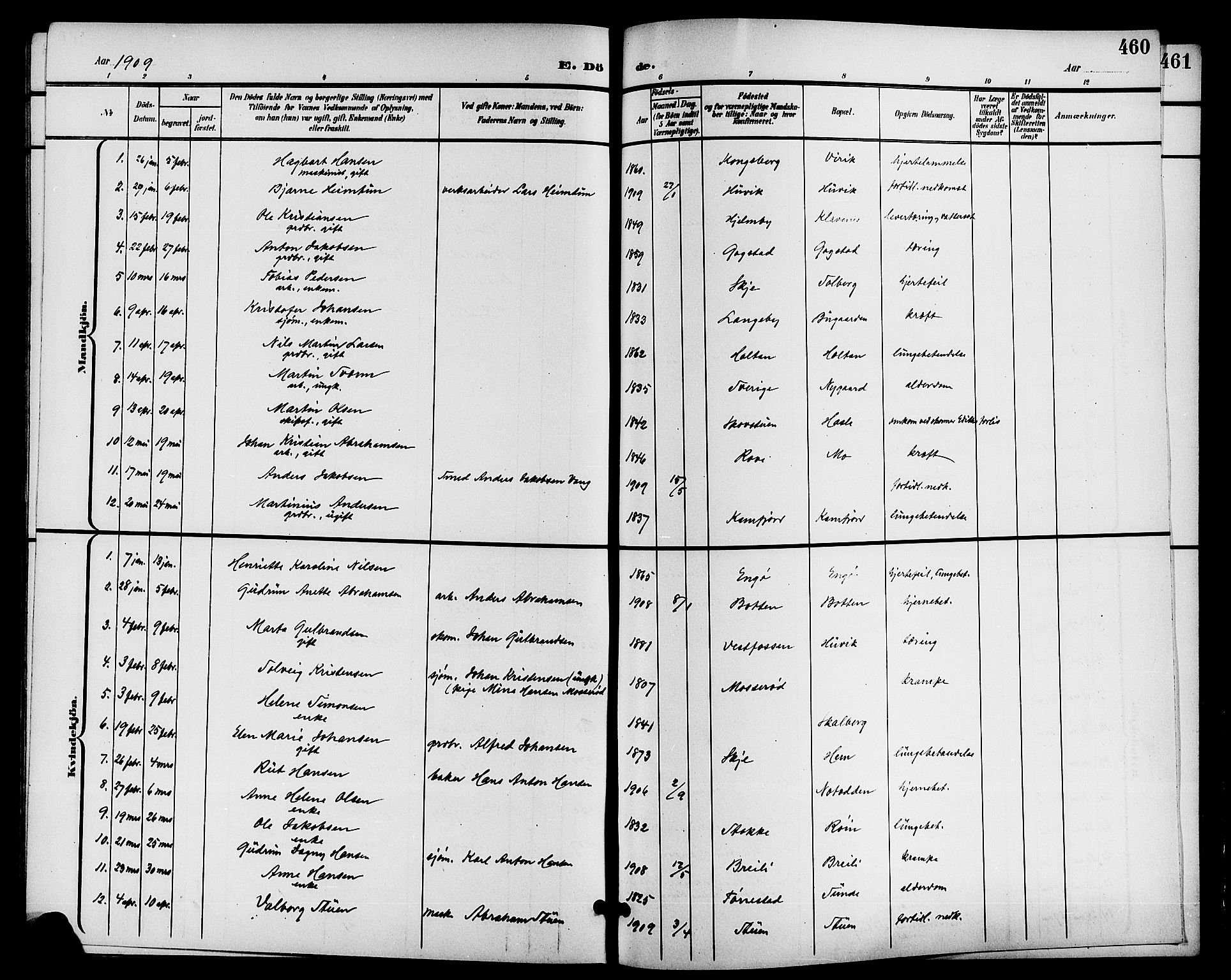 Sandar kirkebøker, AV/SAKO-A-243/G/Ga/L0002: Parish register (copy) no. 2, 1900-1915, p. 460