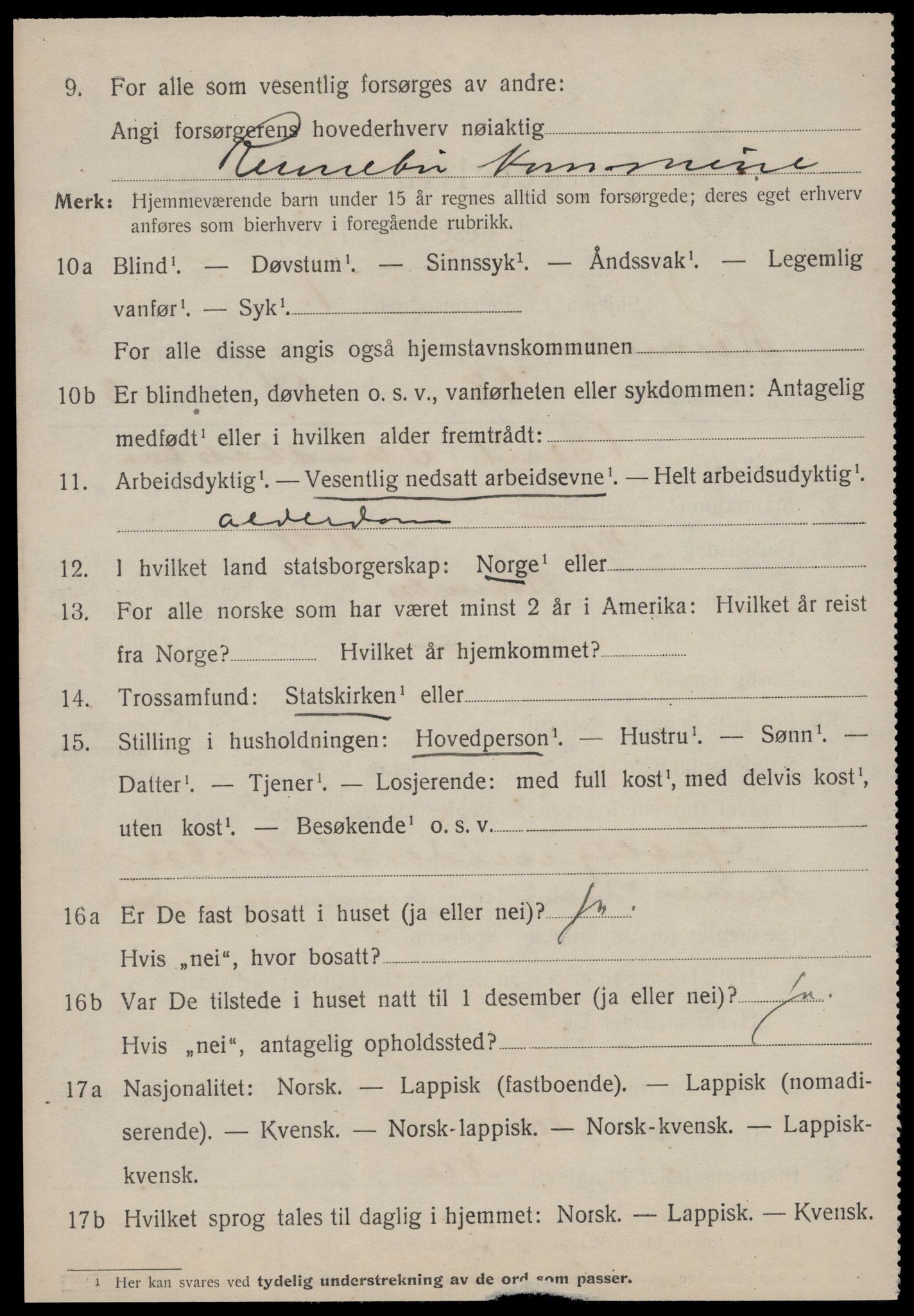 SAT, 1920 census for Rennebu, 1920, p. 2529