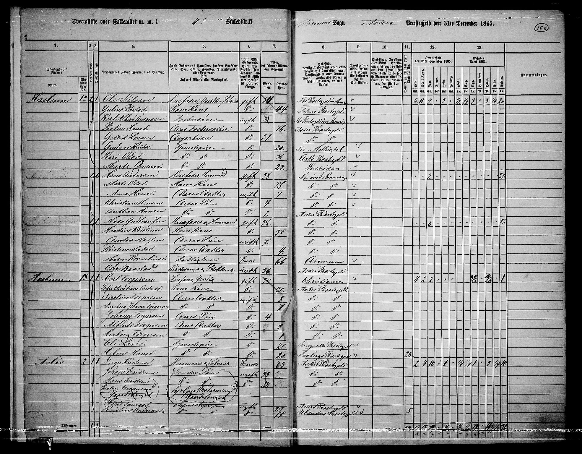 RA, 1865 census for Asker, 1865, p. 152