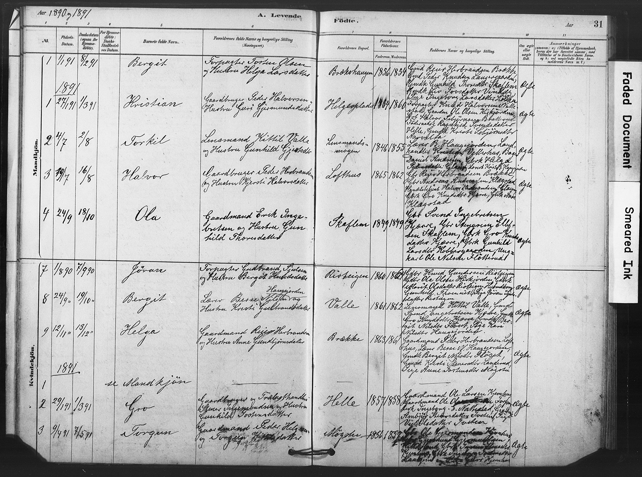 Rollag kirkebøker, SAKO/A-240/F/Fb/L0001: Parish register (official) no. II 1, 1878-1899, p. 31