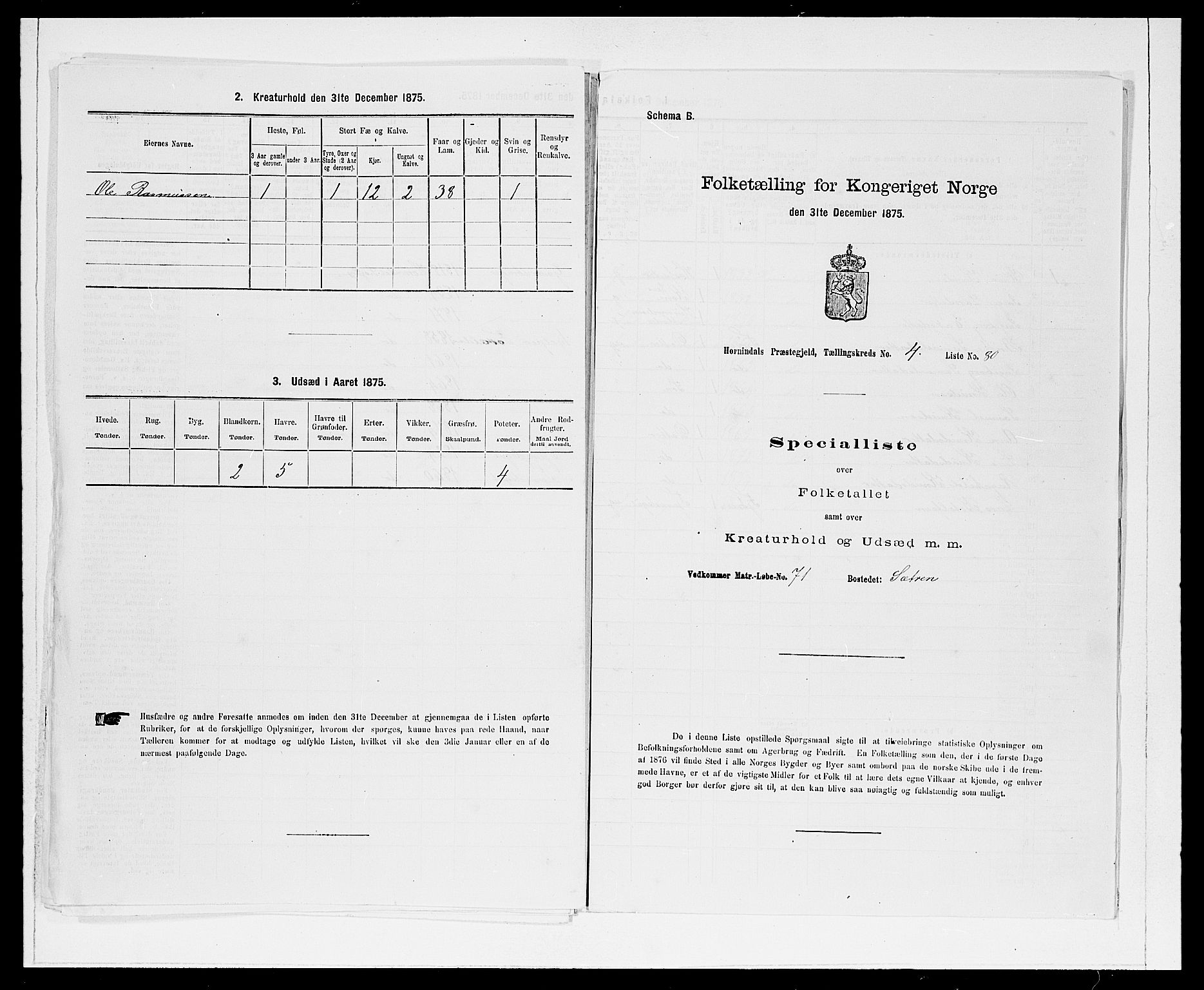 SAB, 1875 Census for 1444P Hornindal, 1875, p. 547