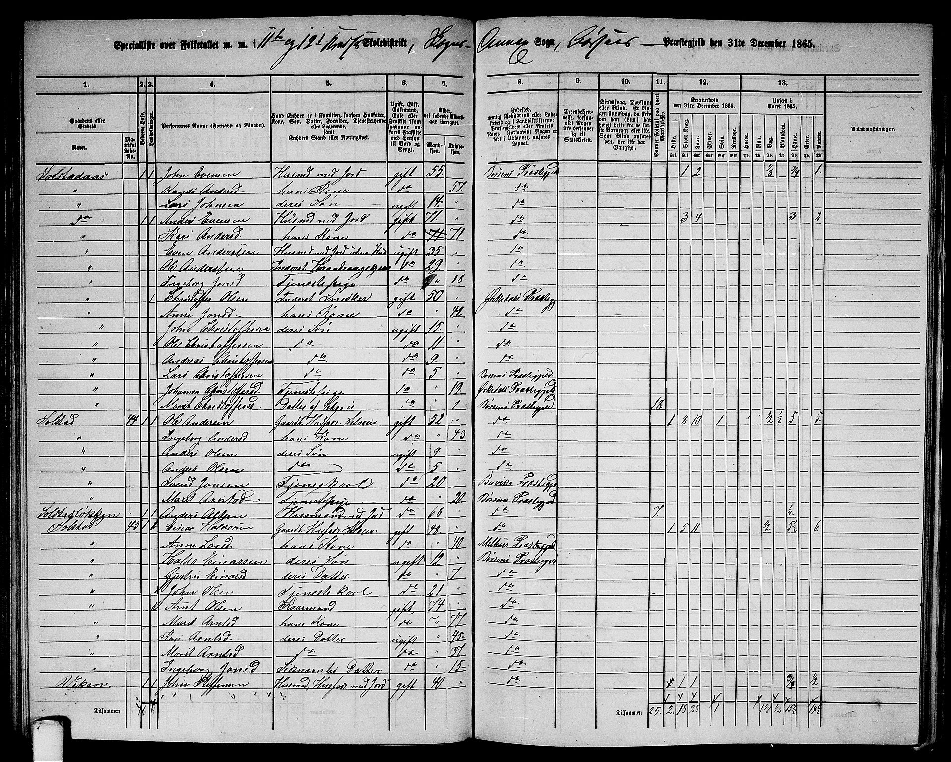 RA, 1865 census for Børsa, 1865, p. 119