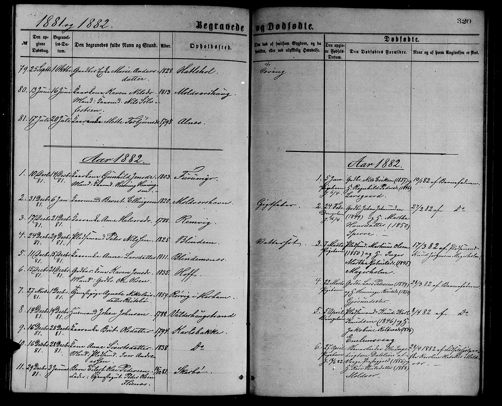 Ministerialprotokoller, klokkerbøker og fødselsregistre - Møre og Romsdal, AV/SAT-A-1454/528/L0429: Parish register (copy) no. 528C10, 1872-1886, p. 320