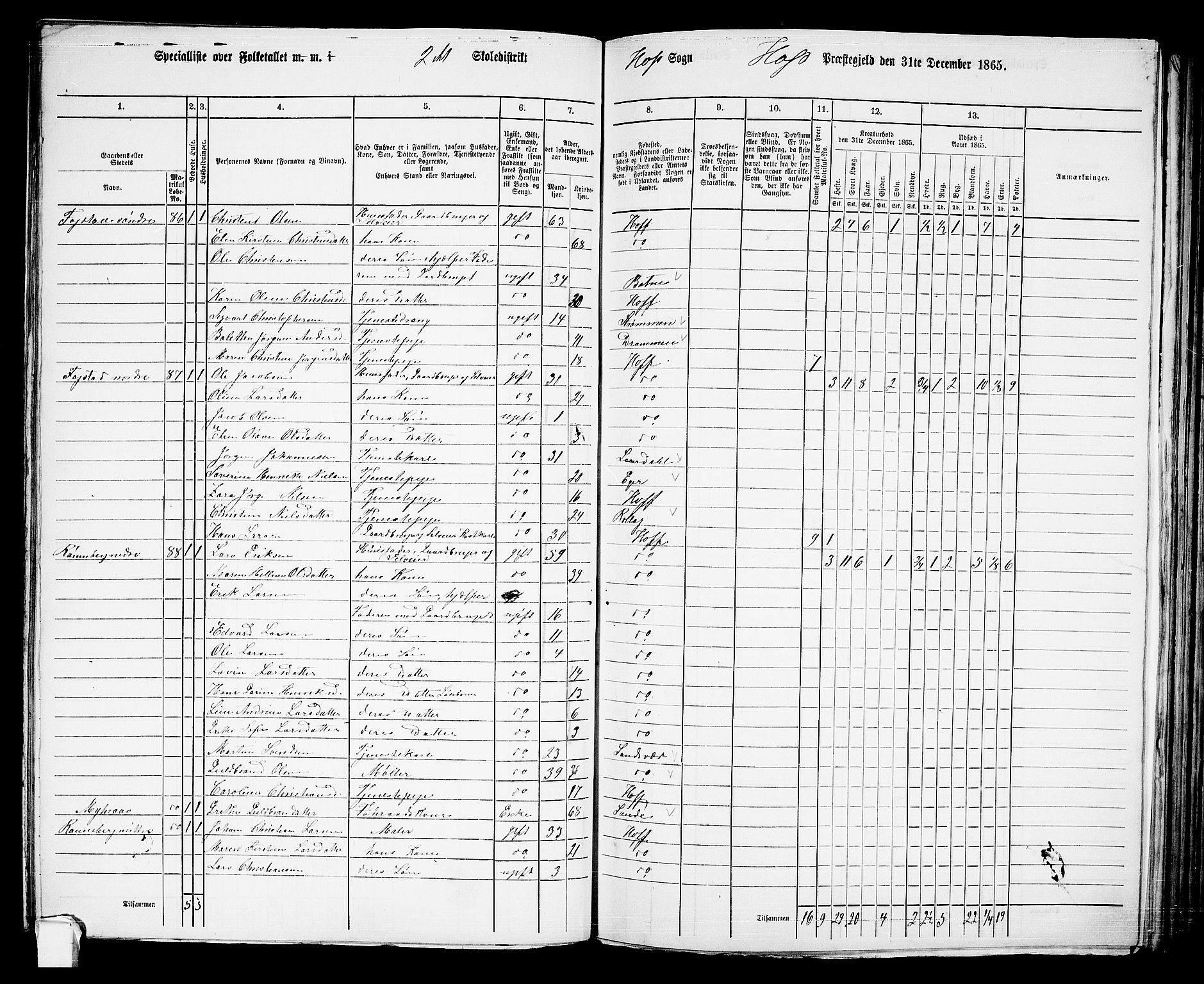 RA, 1865 census for Hof, 1865, p. 113