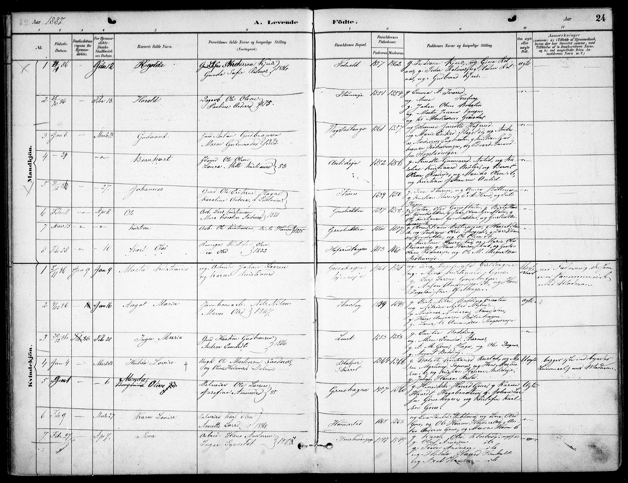 Nes prestekontor Kirkebøker, AV/SAO-A-10410/F/Fc/L0002: Parish register (official) no. IIi 2, 1882-1916, p. 24