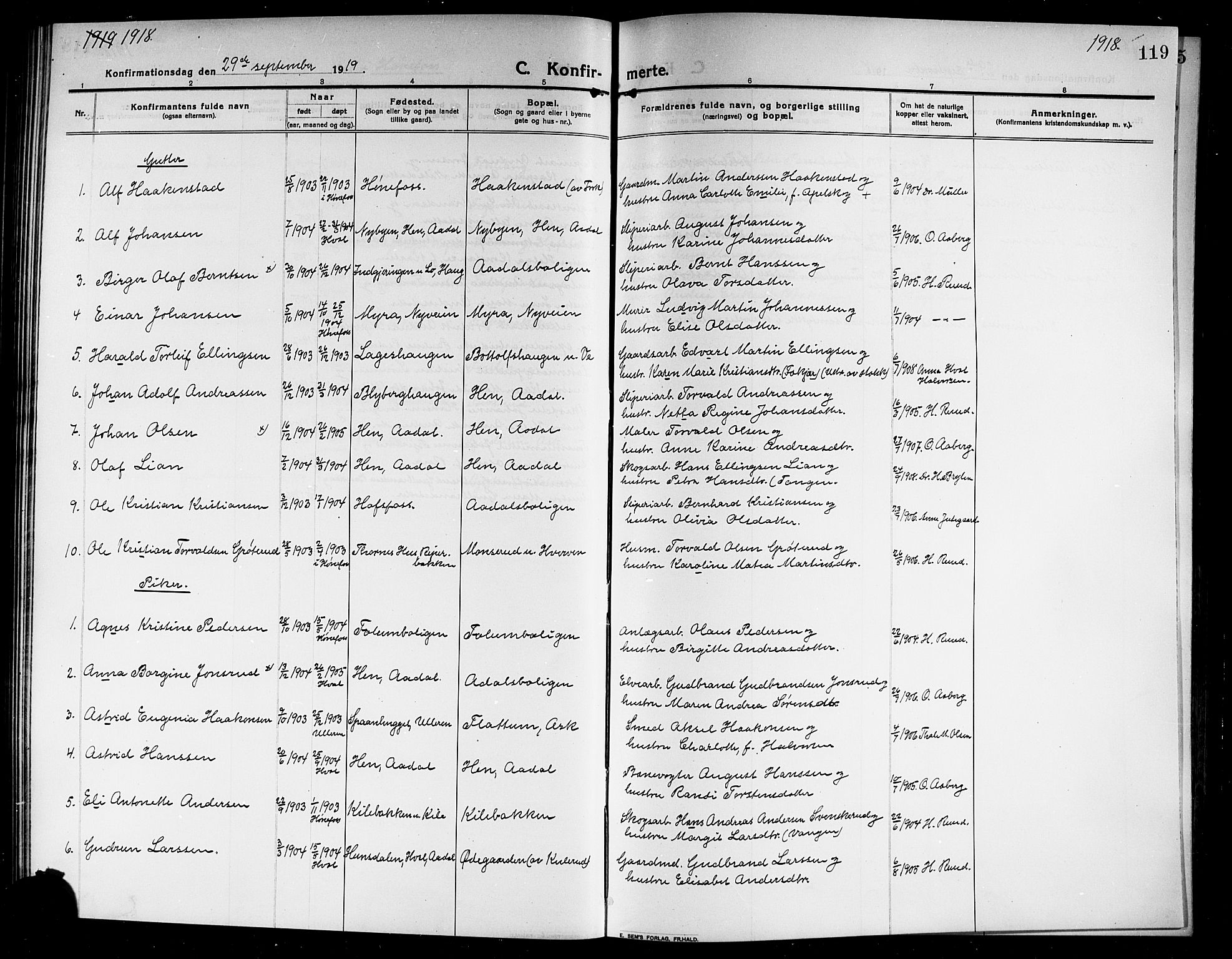 Norderhov kirkebøker, SAKO/A-237/G/Ga/L0009: Parish register (copy) no. I 9, 1913-1920, p. 119