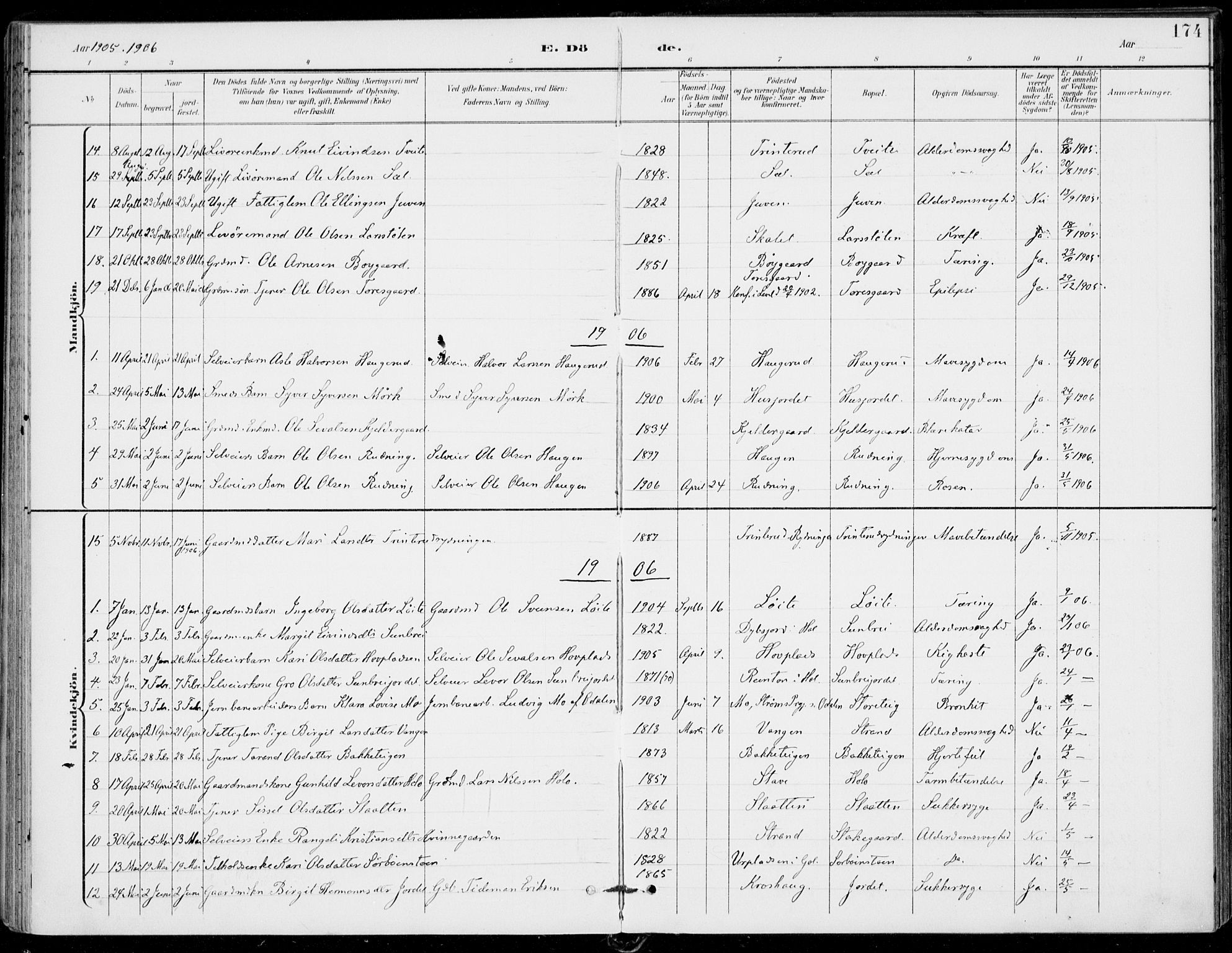 Ål kirkebøker, AV/SAKO-A-249/F/Fa/L0009: Parish register (official) no. I 9, 1897-1915, p. 174