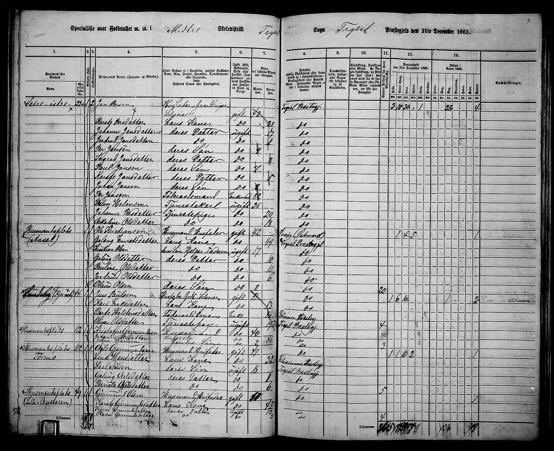 RA, 1865 census for Trysil, 1865, p. 114