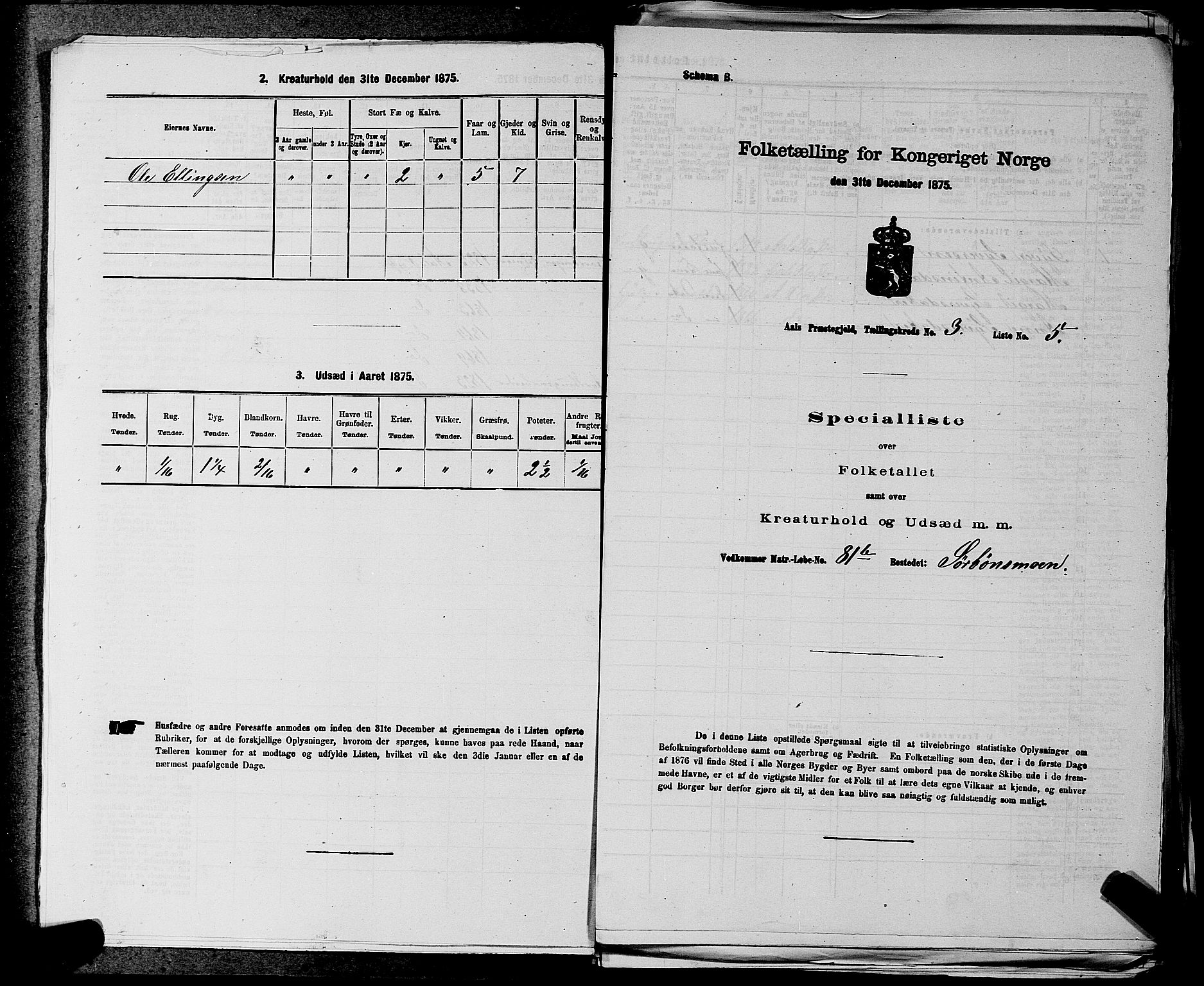 SAKO, 1875 census for 0619P Ål, 1875, p. 324