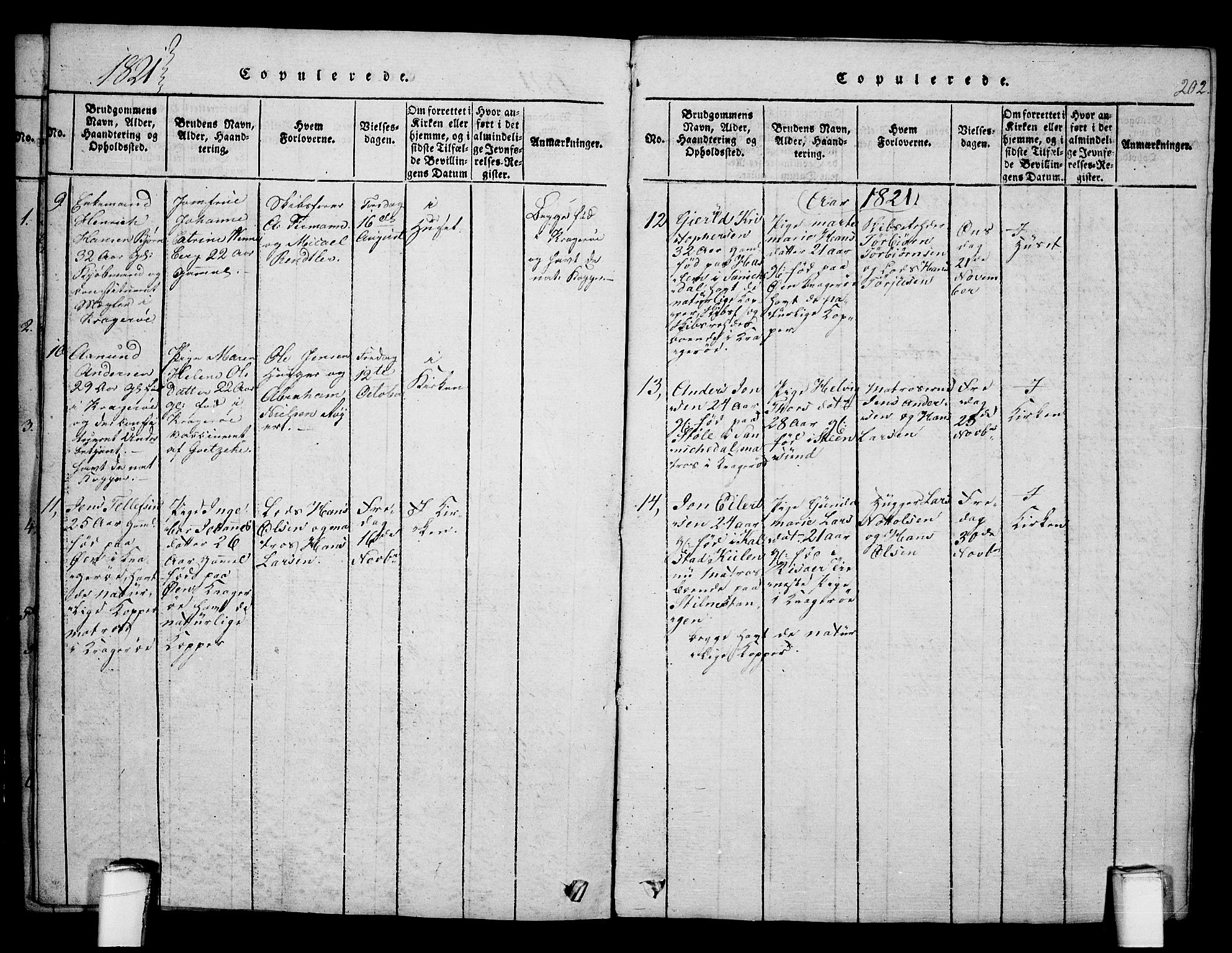 Kragerø kirkebøker, SAKO/A-278/F/Fa/L0004: Parish register (official) no. 4, 1814-1831, p. 202