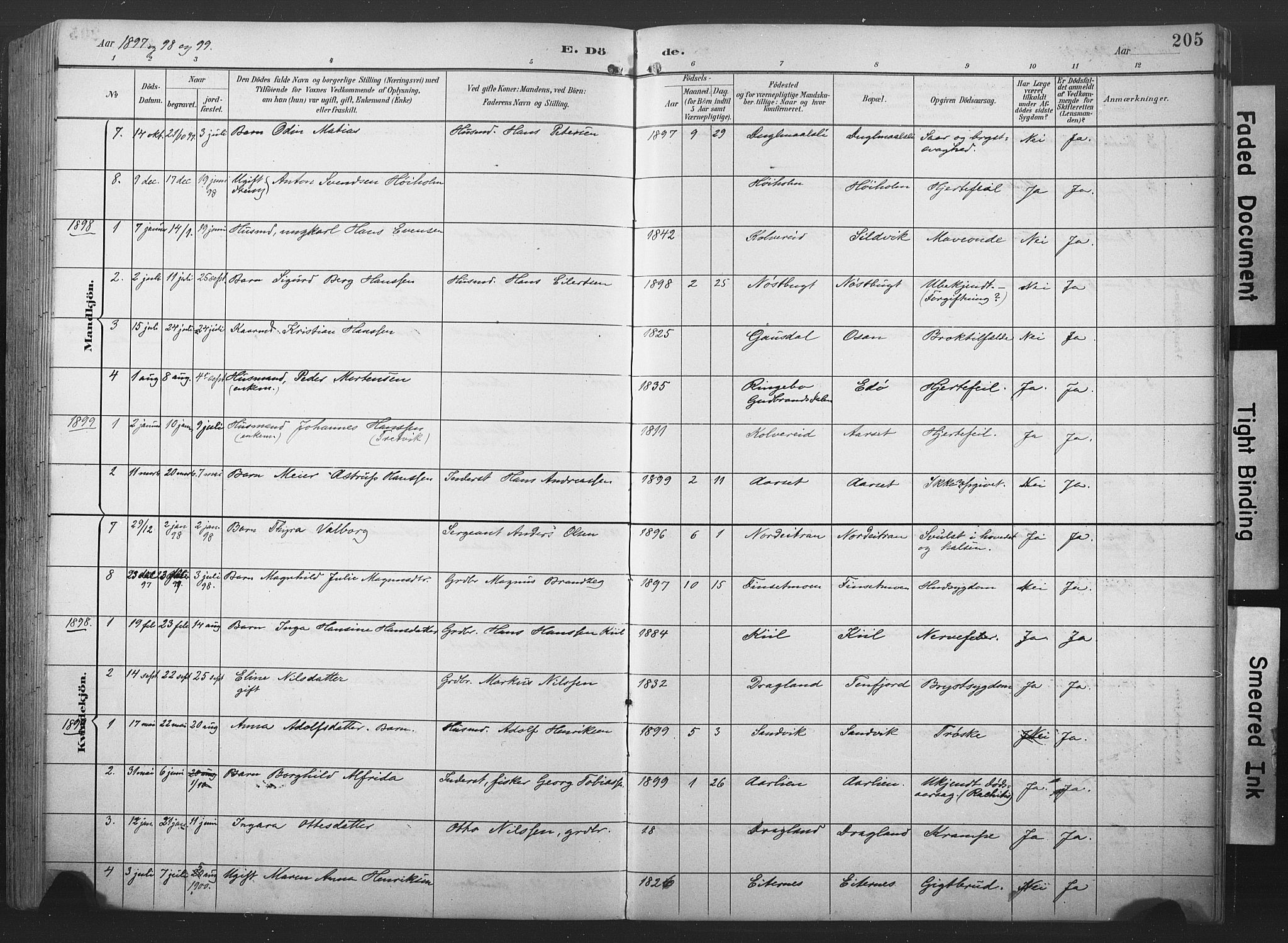 Ministerialprotokoller, klokkerbøker og fødselsregistre - Nord-Trøndelag, SAT/A-1458/789/L0706: Parish register (copy) no. 789C01, 1888-1931, p. 205