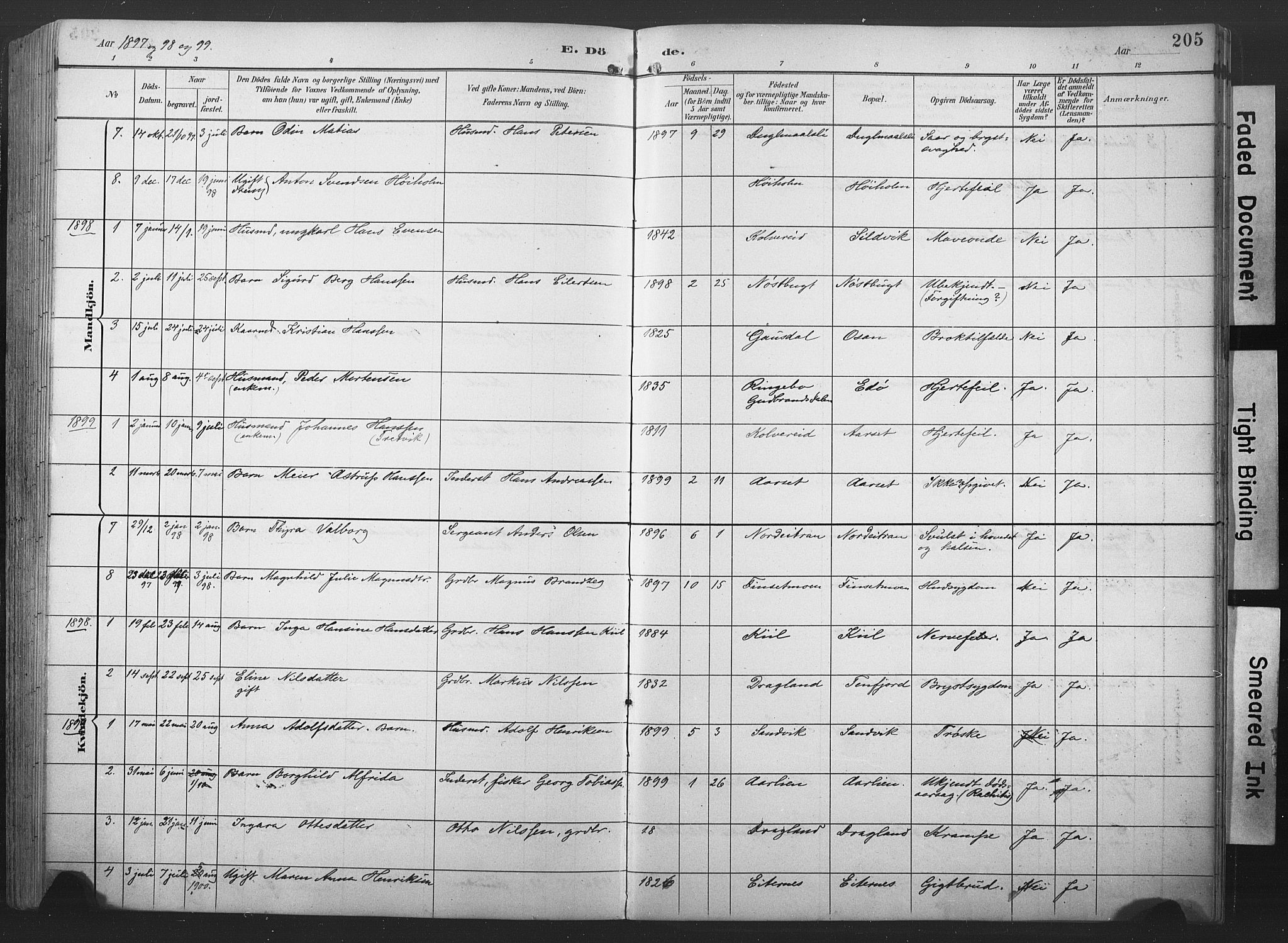 Ministerialprotokoller, klokkerbøker og fødselsregistre - Nord-Trøndelag, AV/SAT-A-1458/789/L0706: Parish register (copy) no. 789C01, 1888-1931, p. 205