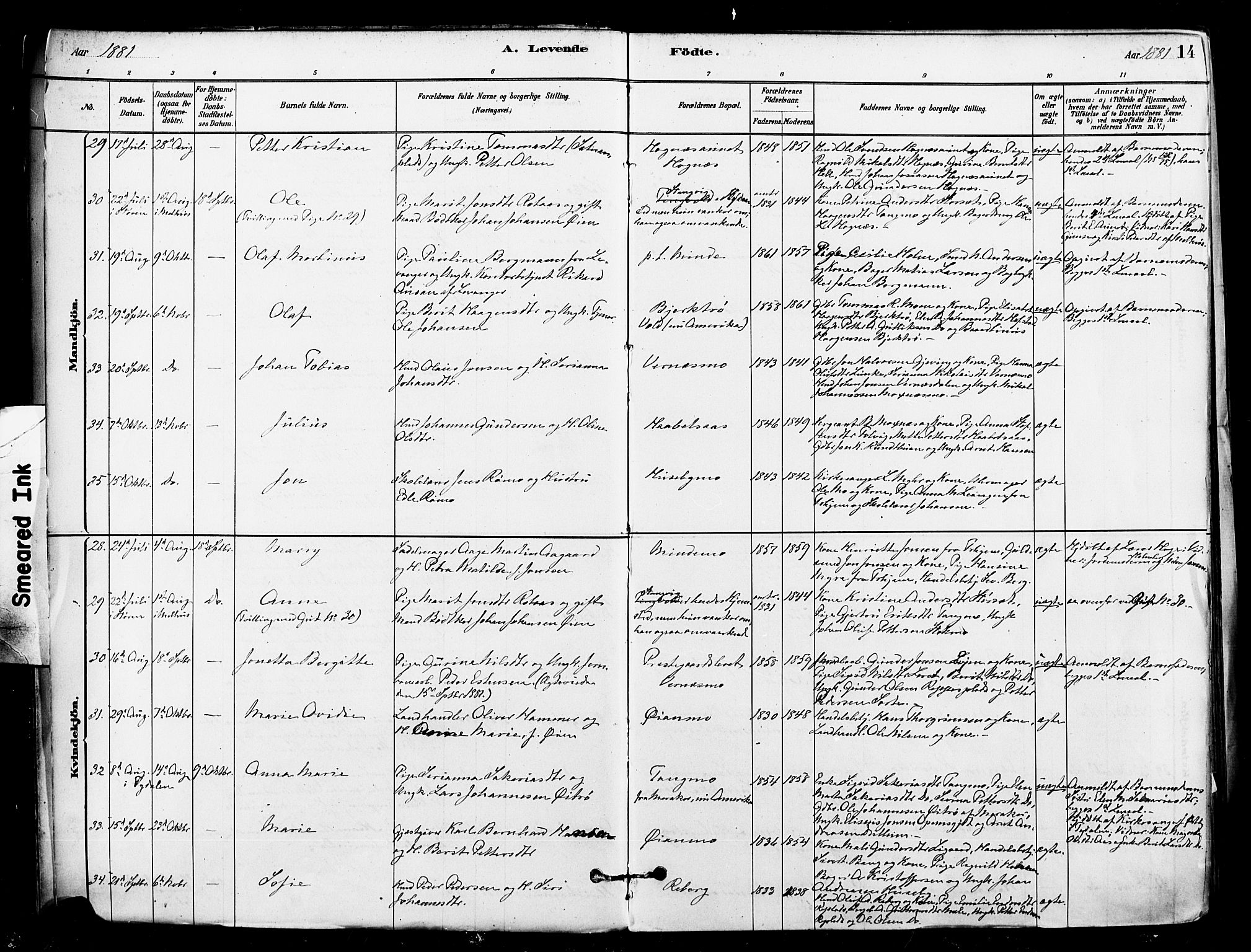 Ministerialprotokoller, klokkerbøker og fødselsregistre - Nord-Trøndelag, SAT/A-1458/709/L0077: Parish register (official) no. 709A17, 1880-1895, p. 14