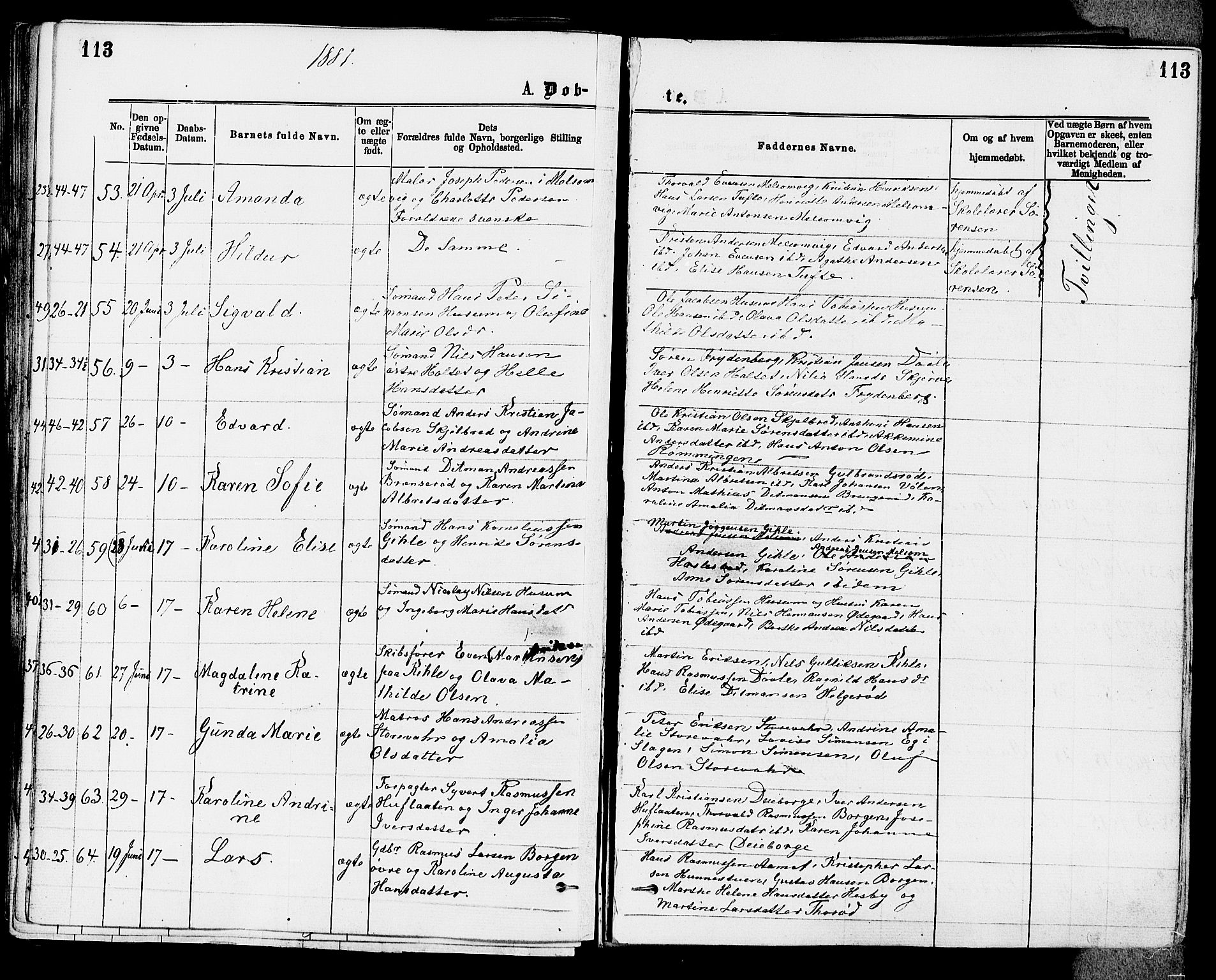 Stokke kirkebøker, AV/SAKO-A-320/F/Fa/L0009: Parish register (official) no. I 9, 1872-1883, p. 113