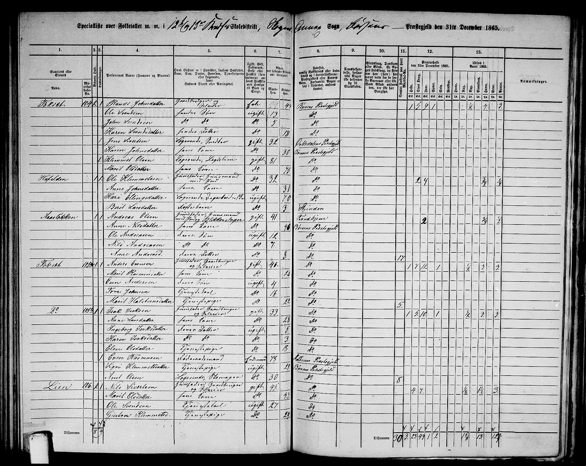 RA, 1865 census for Børsa, 1865, p. 153